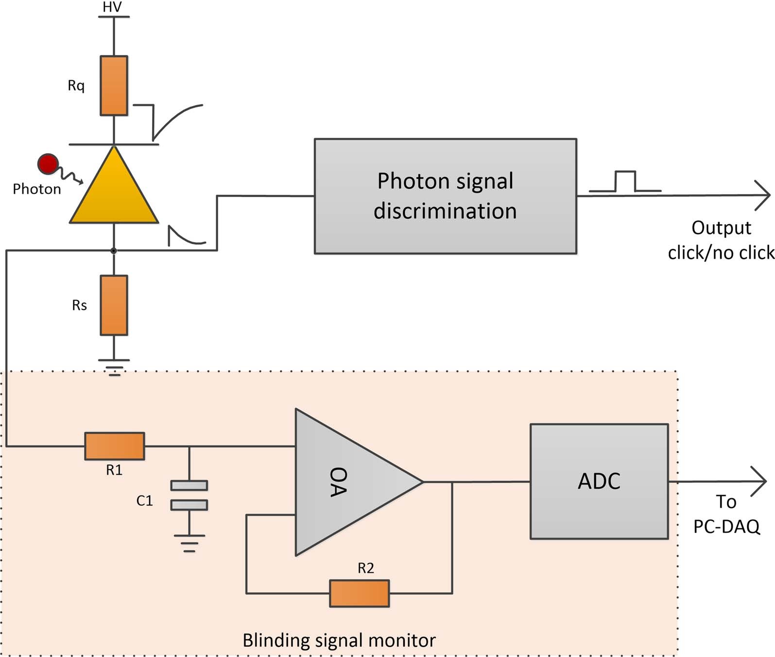 Extended Data Fig. 5