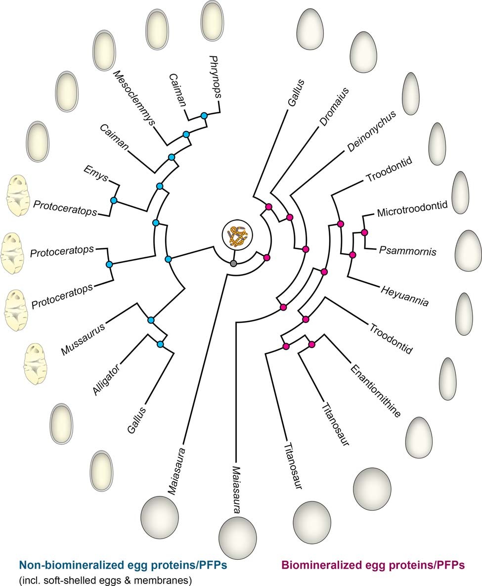 Extended Data Fig. 1
