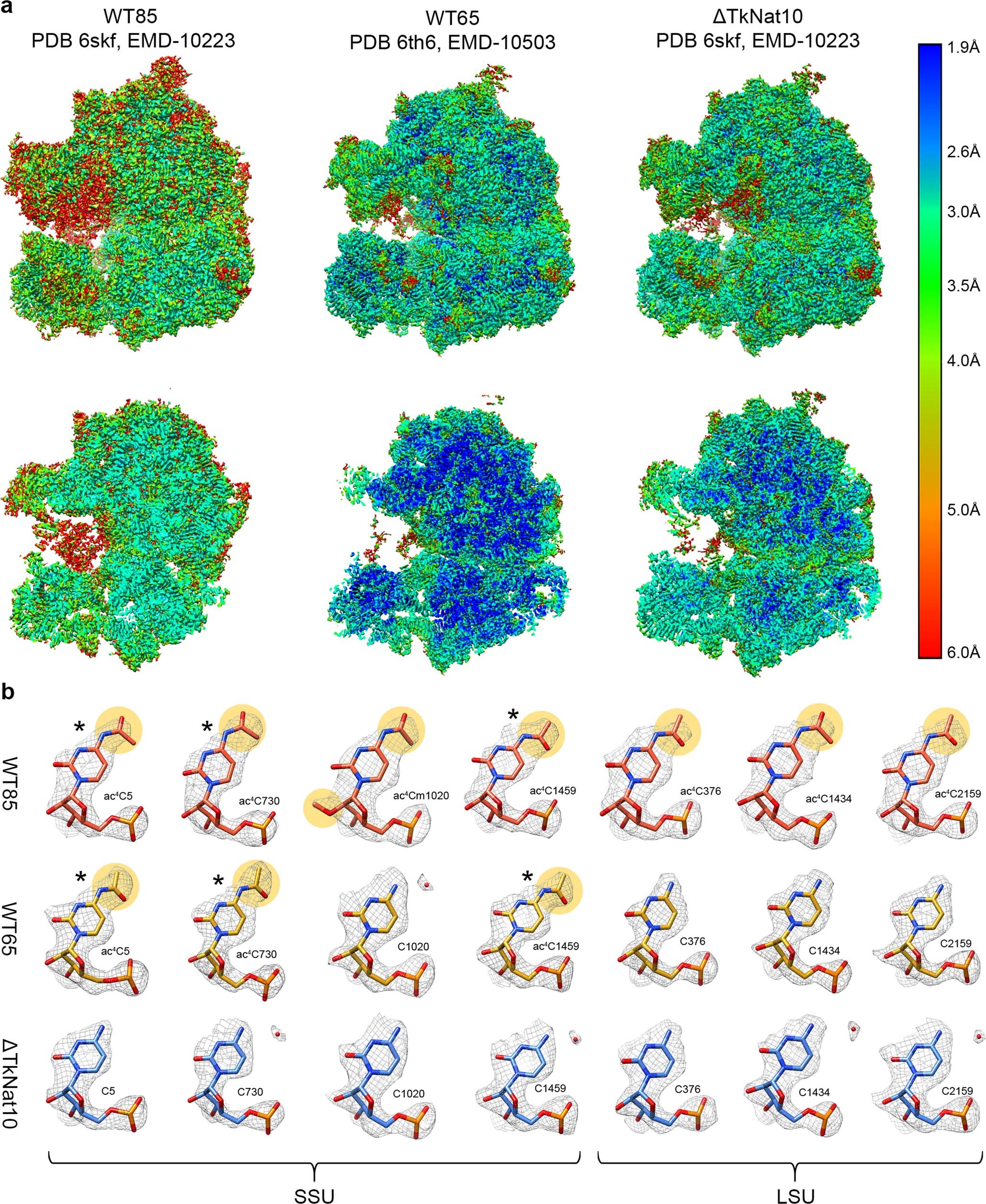 Extended Data Fig. 8