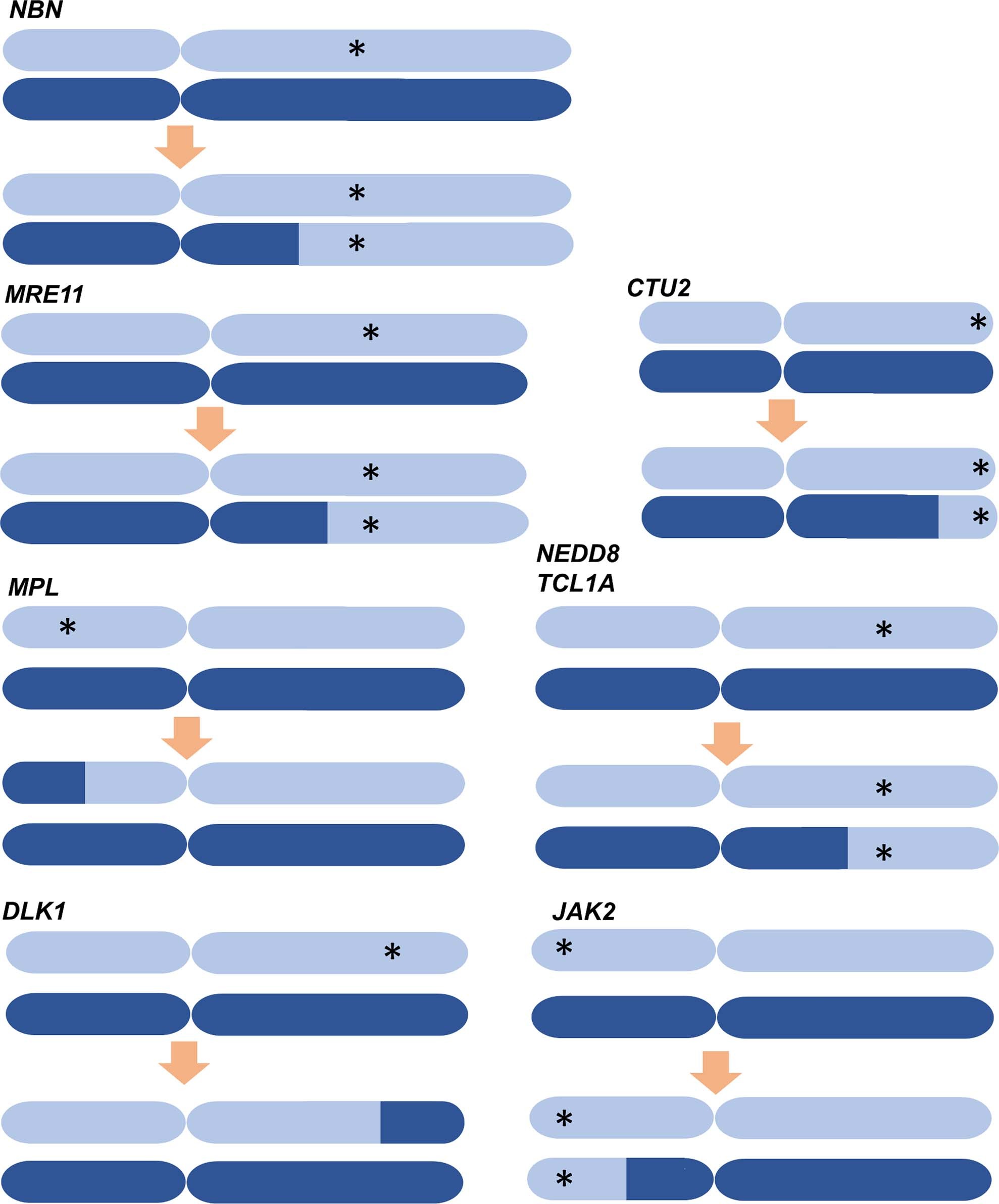 Extended Data Fig. 6: Action of CN-LOH events on rare and common inherited variants.