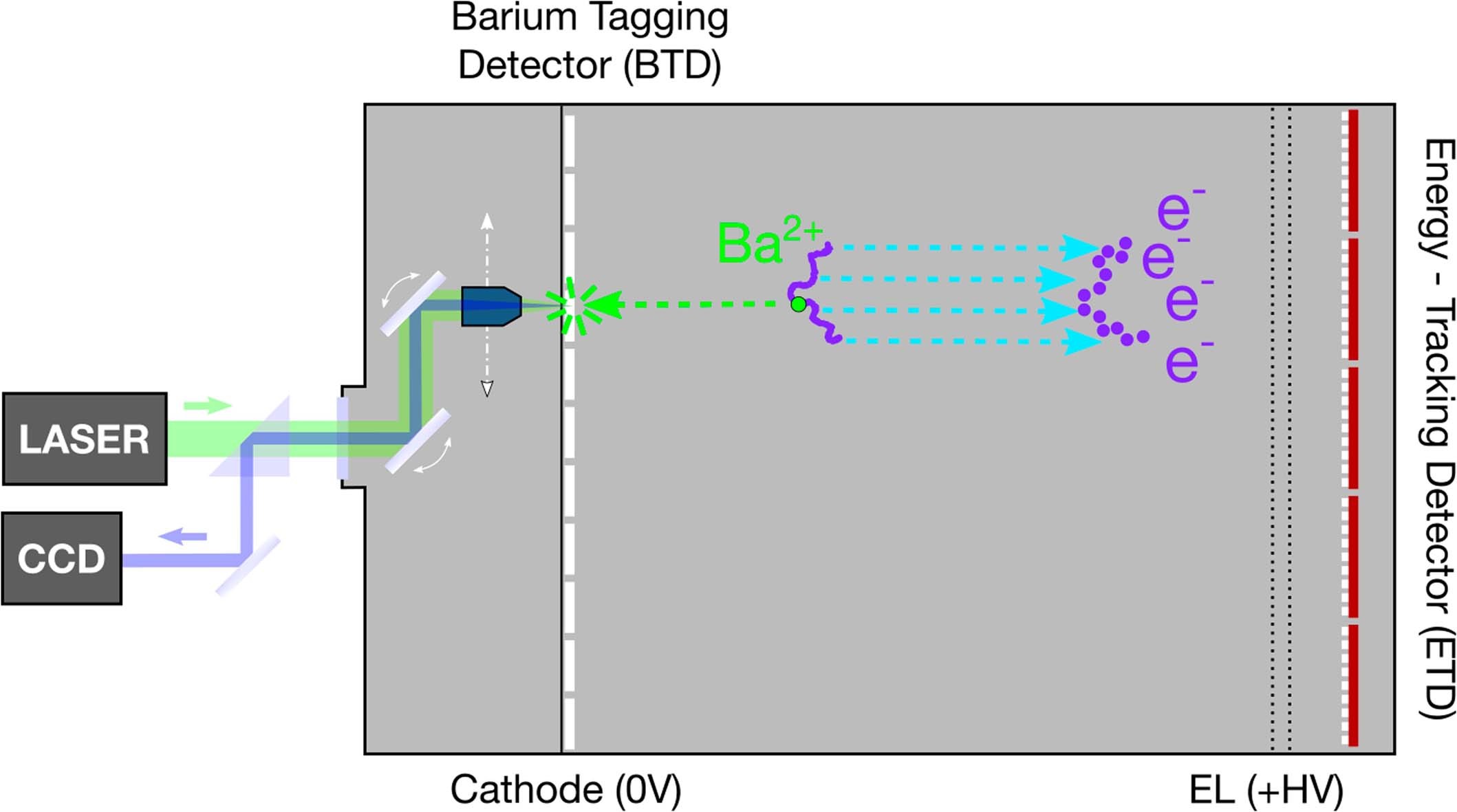 Extended Data Fig. 8