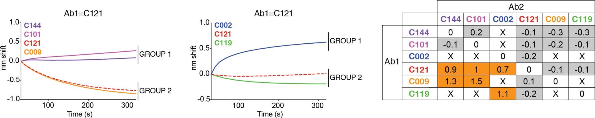 Extended Data Fig. 10: Biolayer interferometry experiment.