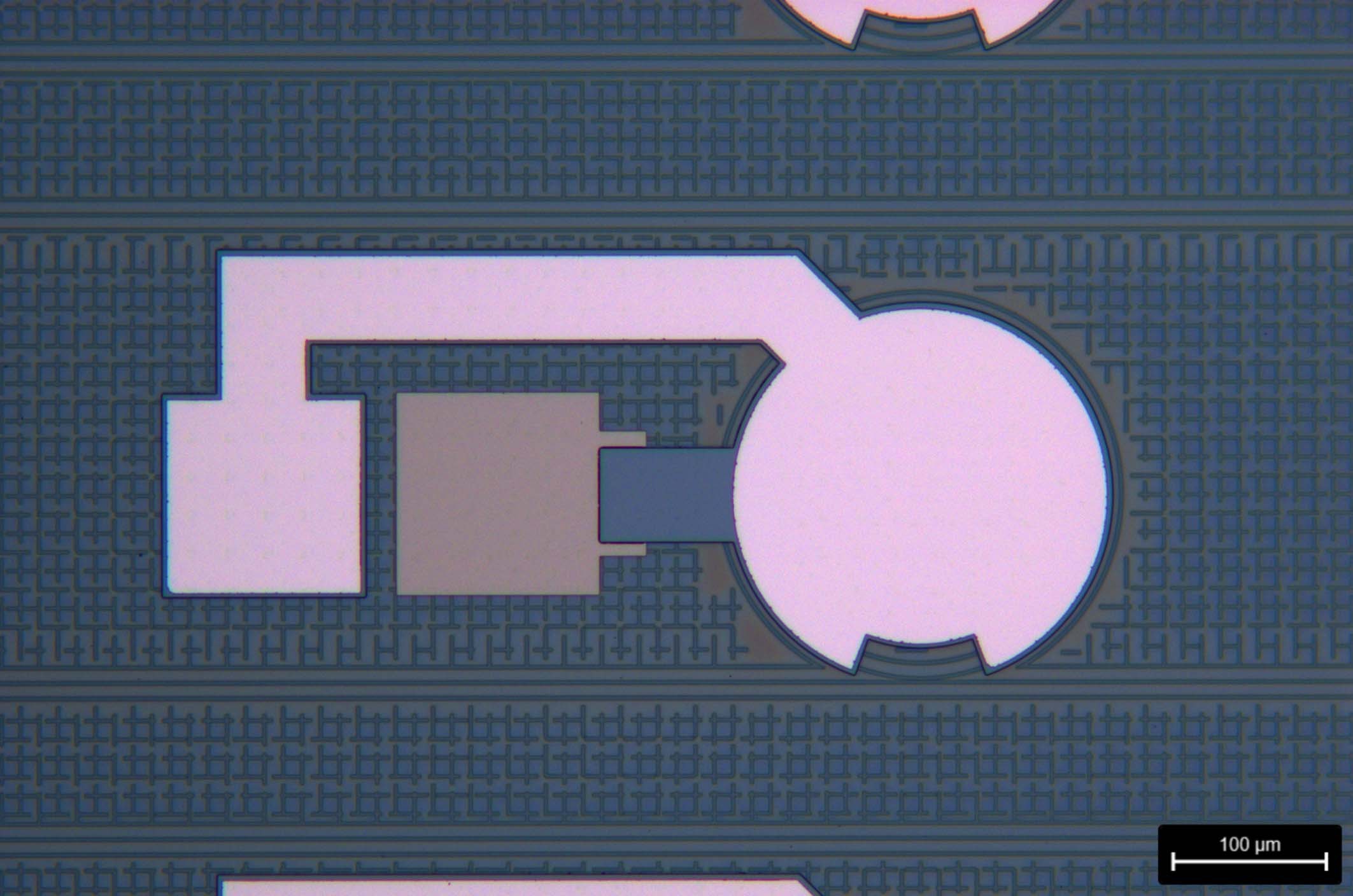 Extended Data Fig. 6