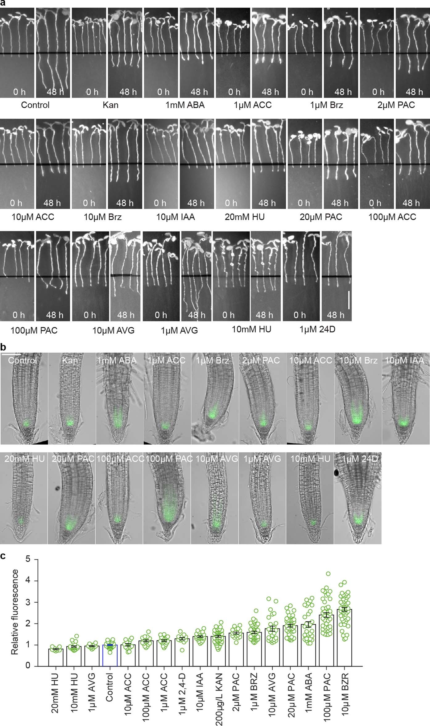 Extended Data Fig. 8