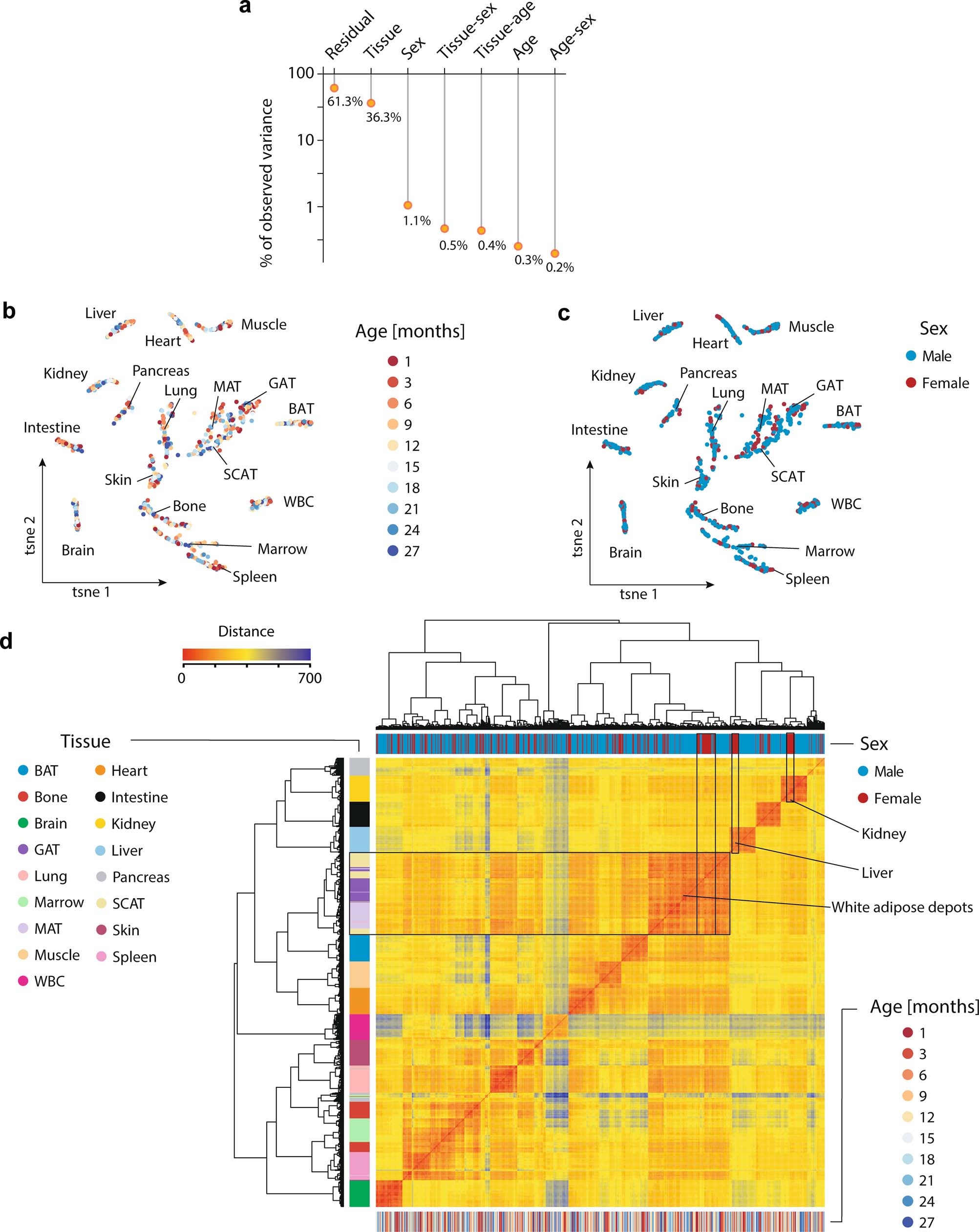 Extended Data Fig. 1: Gene expression variance analysis.
