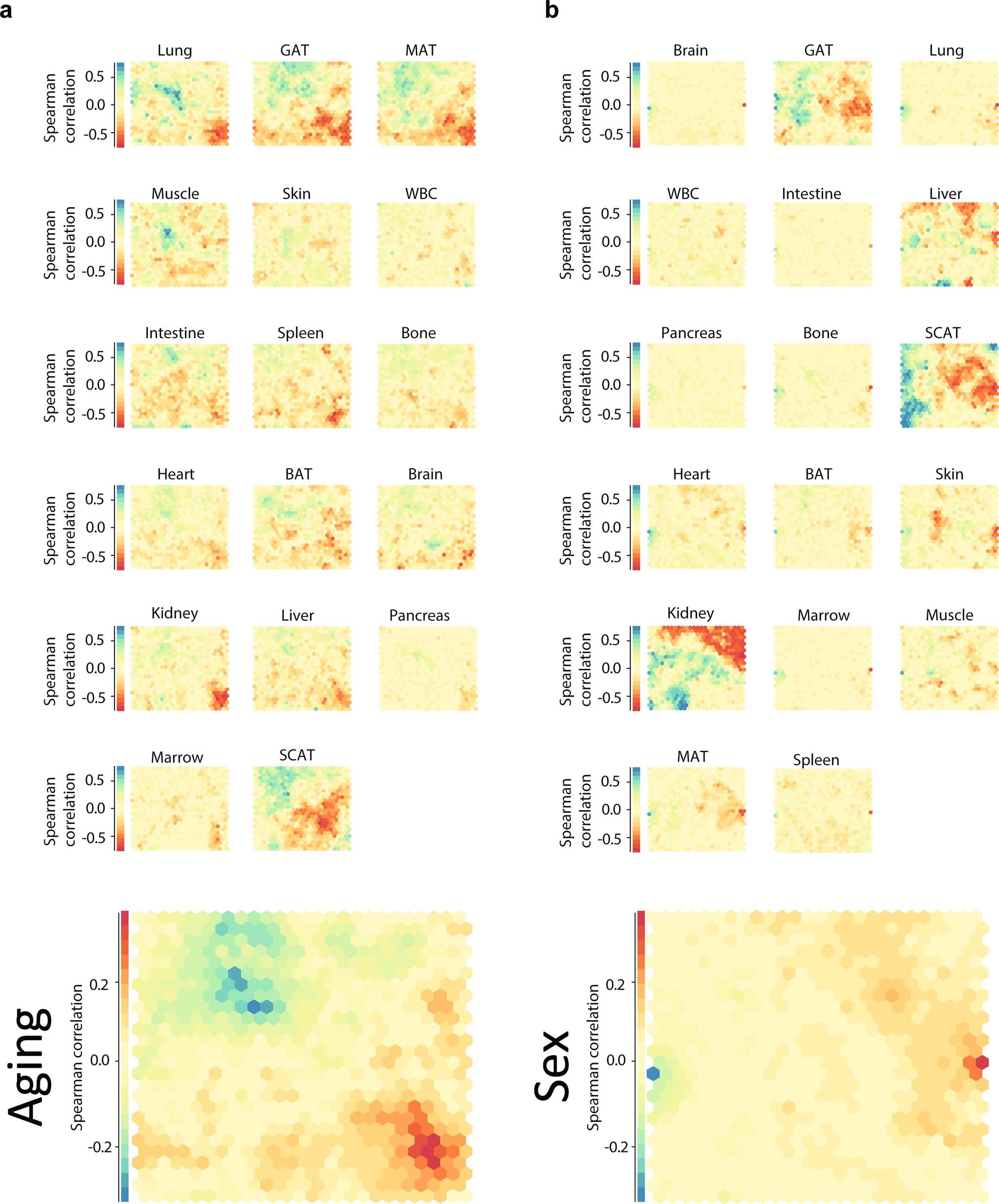 Extended Data Fig. 3: SOMs of gene correlation with age and sex.