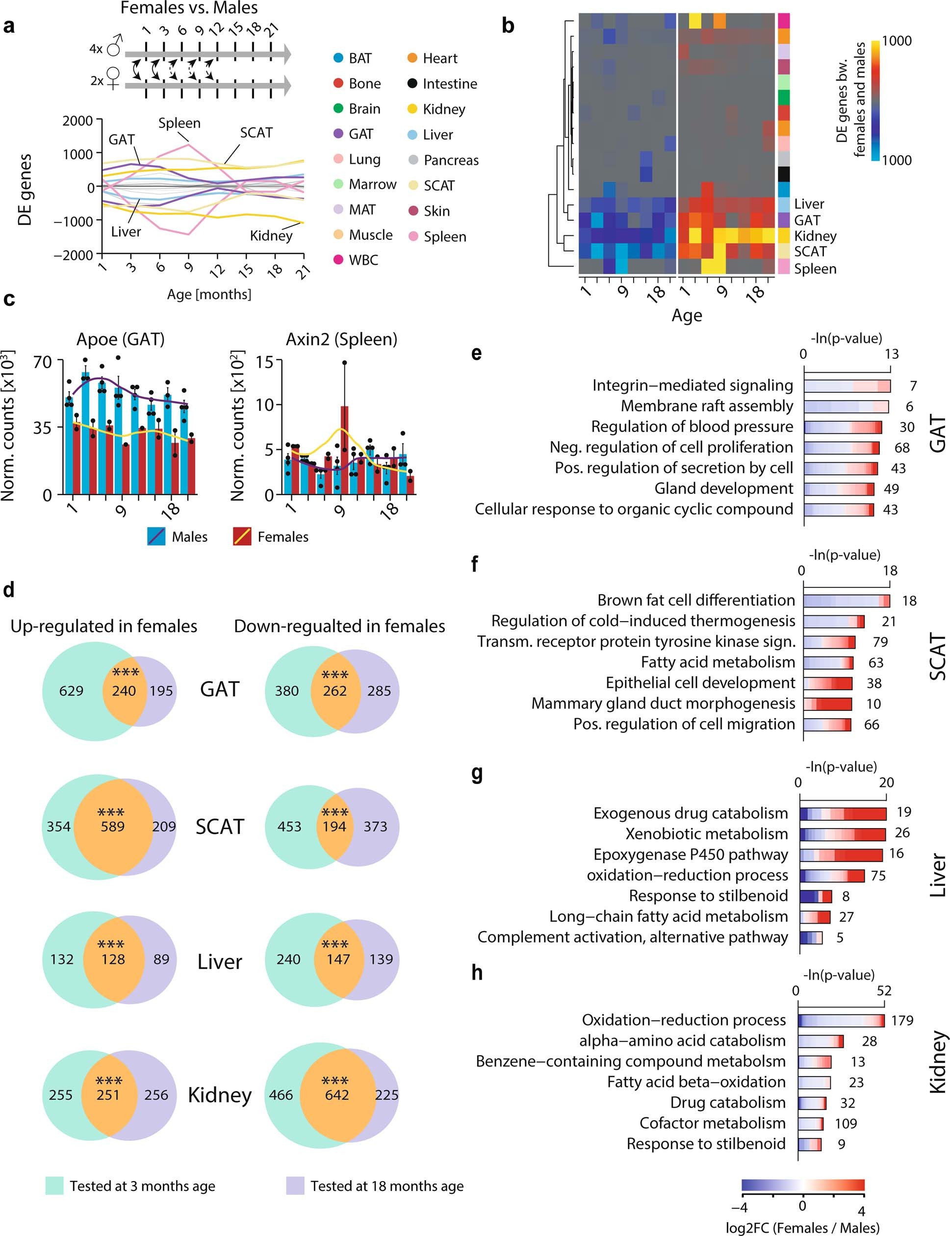 Extended Data Fig. 4: Sex-specific expression changes across organs.