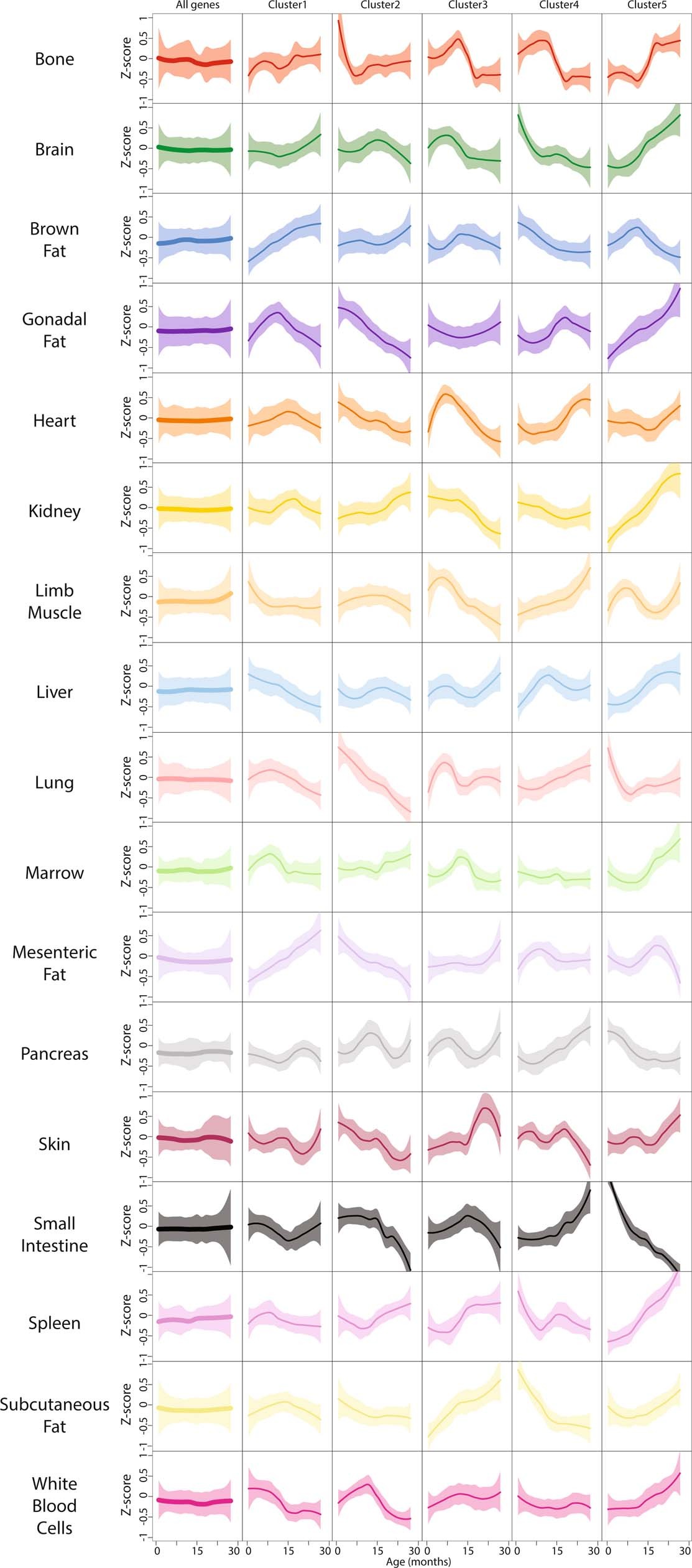 Extended Data Fig. 5: Organ-specific gene expression dynamics.