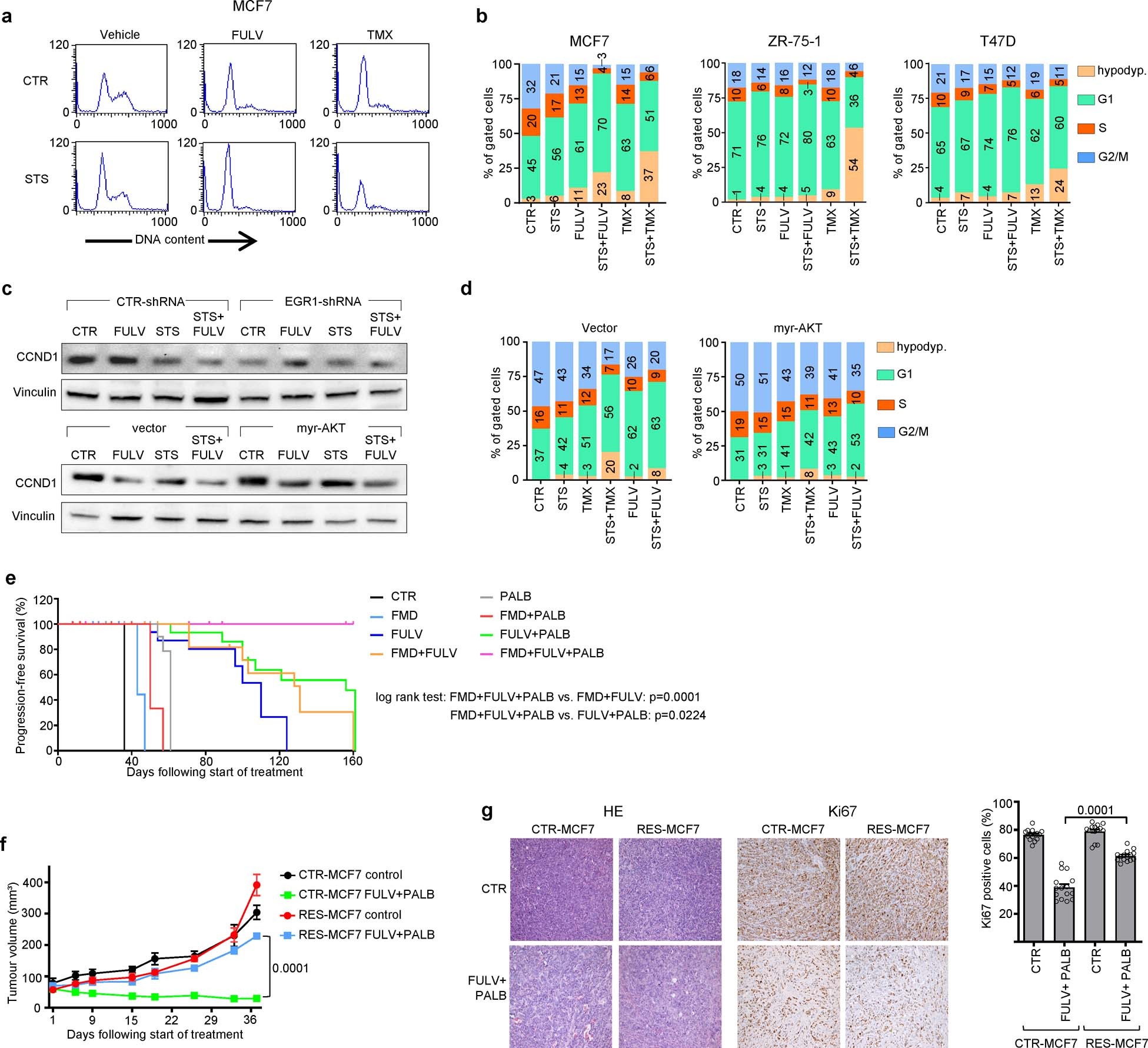 Extended Data Fig. 8: Combined FMD and ET downregulate CCND1 via EGR1 upregulation and AKT inhibition and revert acquired resistance to fulvestrant plus palbociclib.