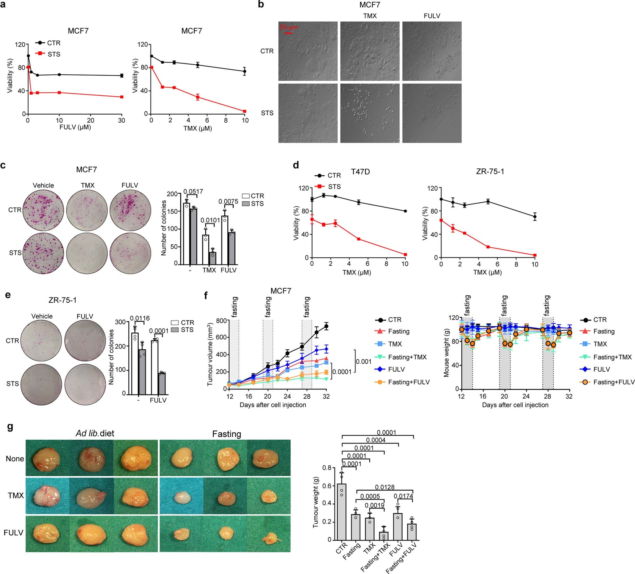 Extended Data Fig. 1: Fasting and FMD enhance ET anti-tumour activity in HR+ BC cells.