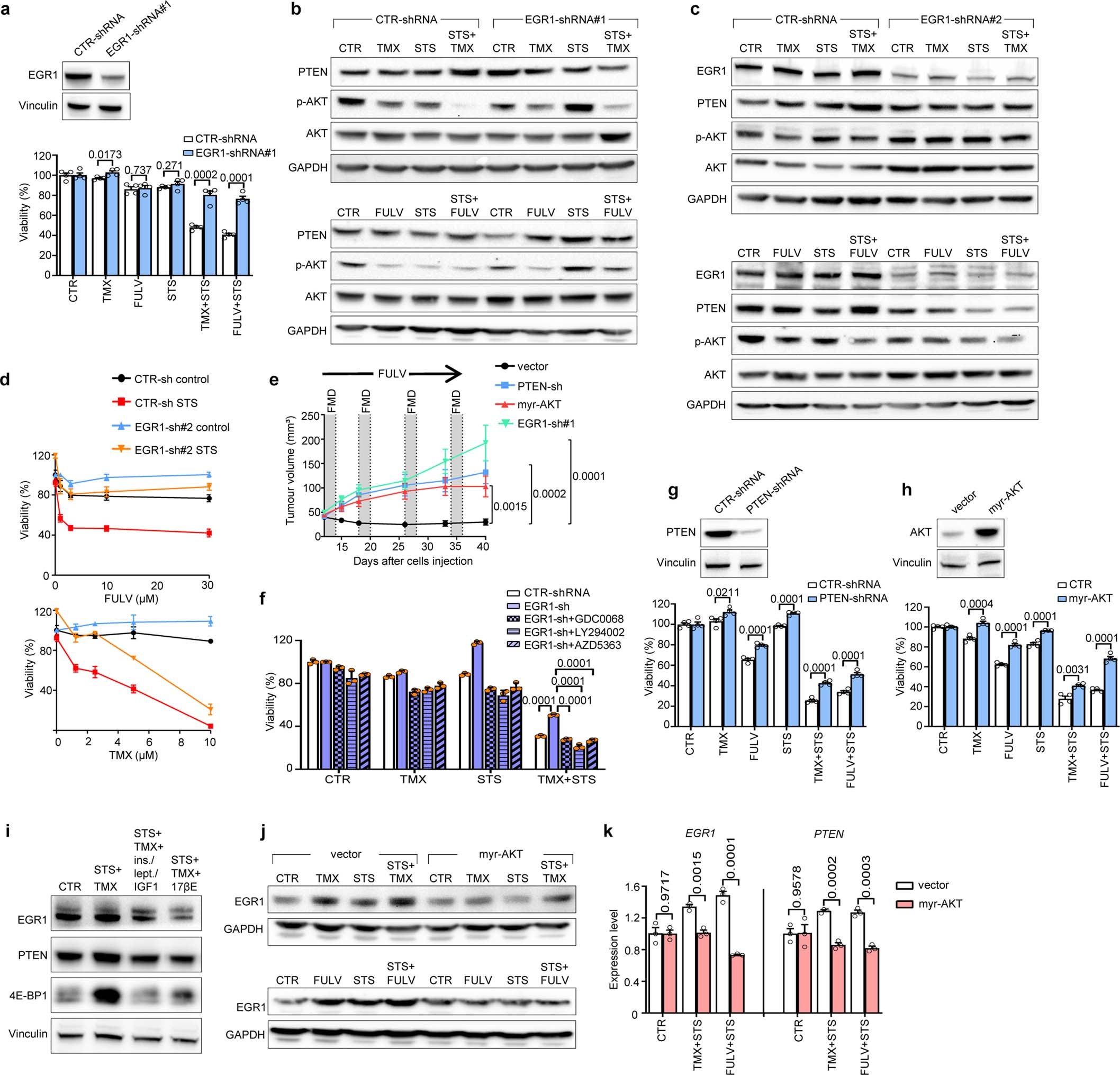 Extended Data Fig. 5: EGR1, PTEN and reduced AKT activation mediate the cooperation between ET and fasting/FMD in BC cells.