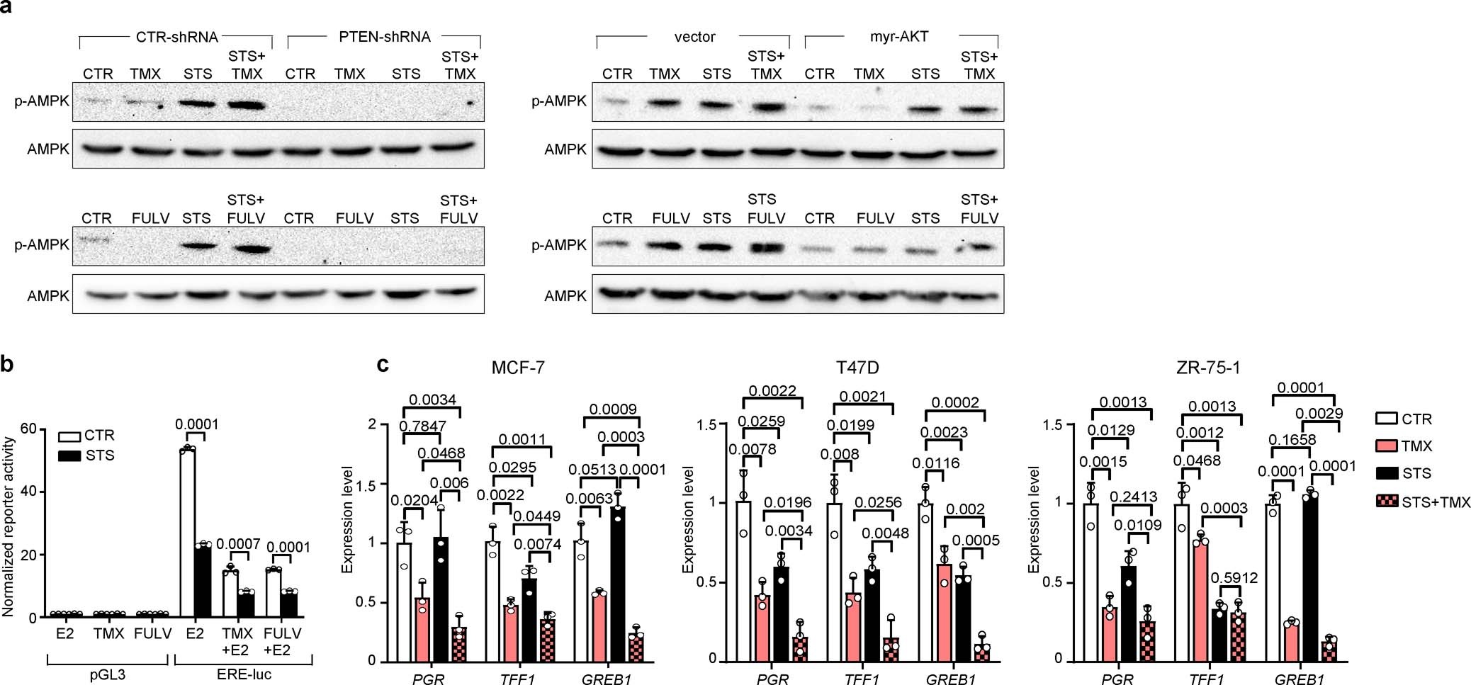 Extended Data Fig. 6: STS conditions cooperate with ET to activate AMPK and to dampen oestrogen receptor transcriptional activity in BC cells.