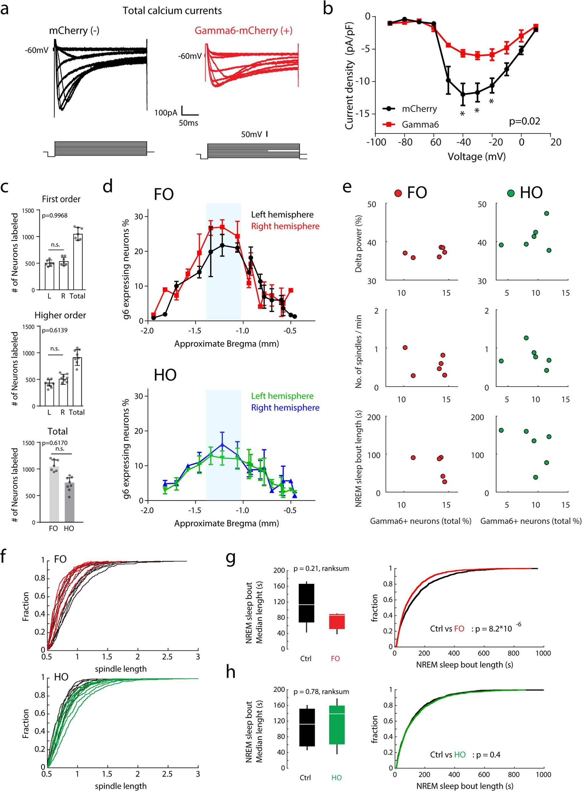 Extended Data Fig. 10: γ6 expression and its perturbation effect in the TRN cells.
