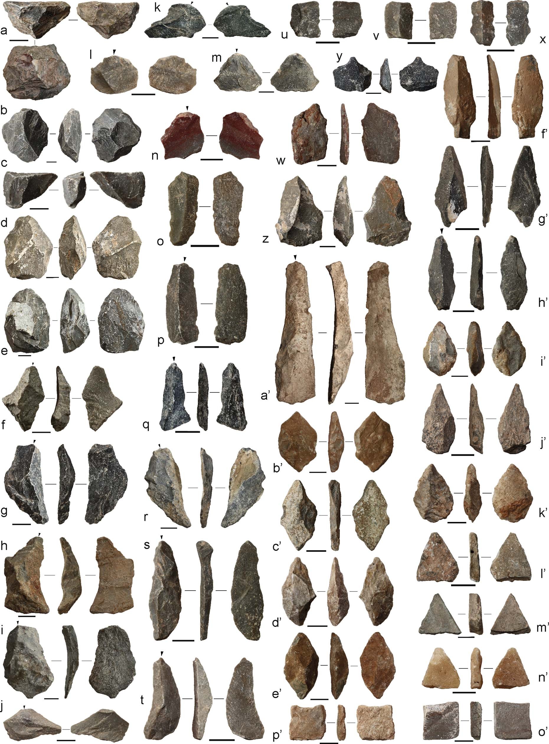 Extended Data Fig. 5: Additional Chiquihuite lithic artefacts.