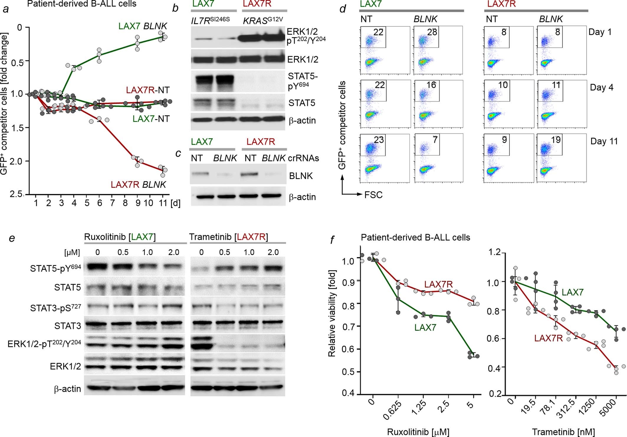Extended Data Fig. 9: Divergent drug responses in a STAT5- and ERK-driven pair of primary and relapse B-ALLs.