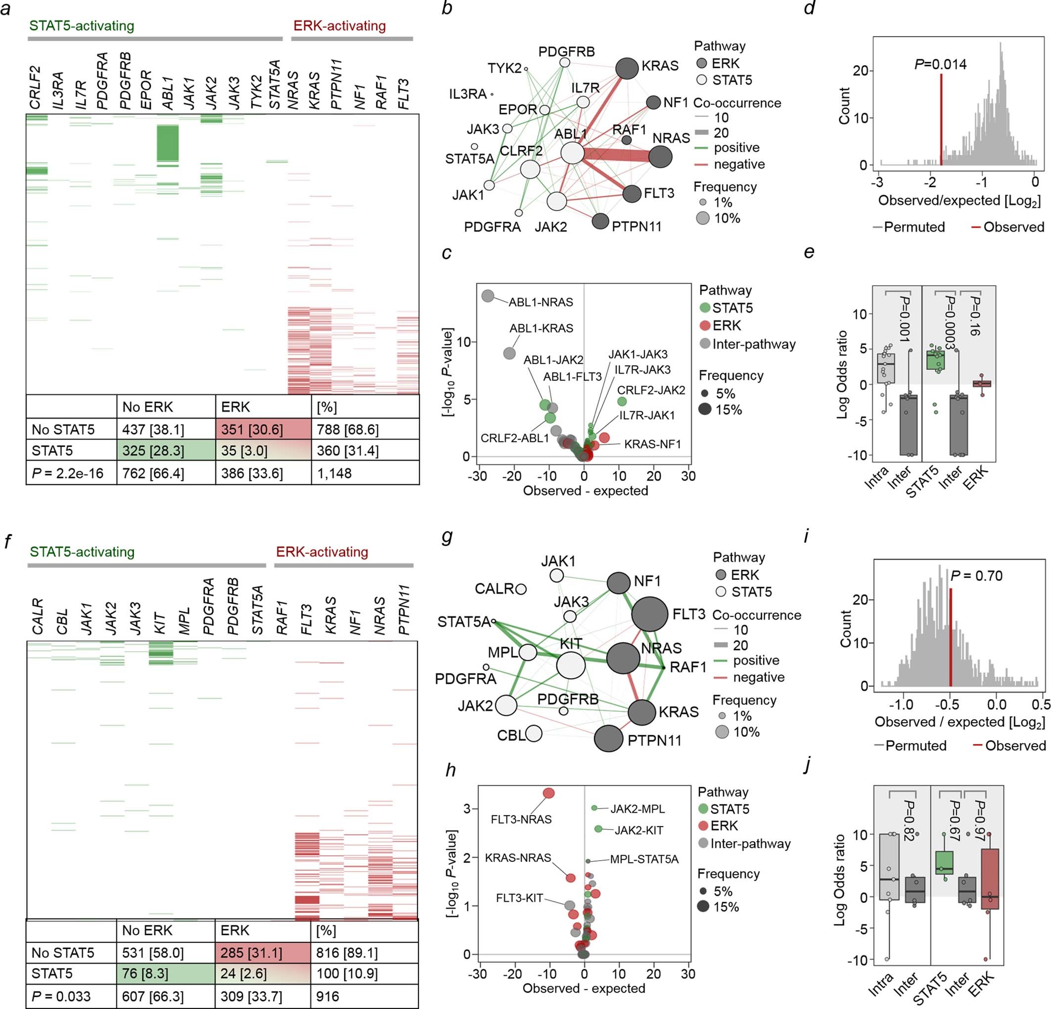 Extended Data Fig. 1: Segregation of STAT5- and ERK-activating mutations in human ALL and AML.
