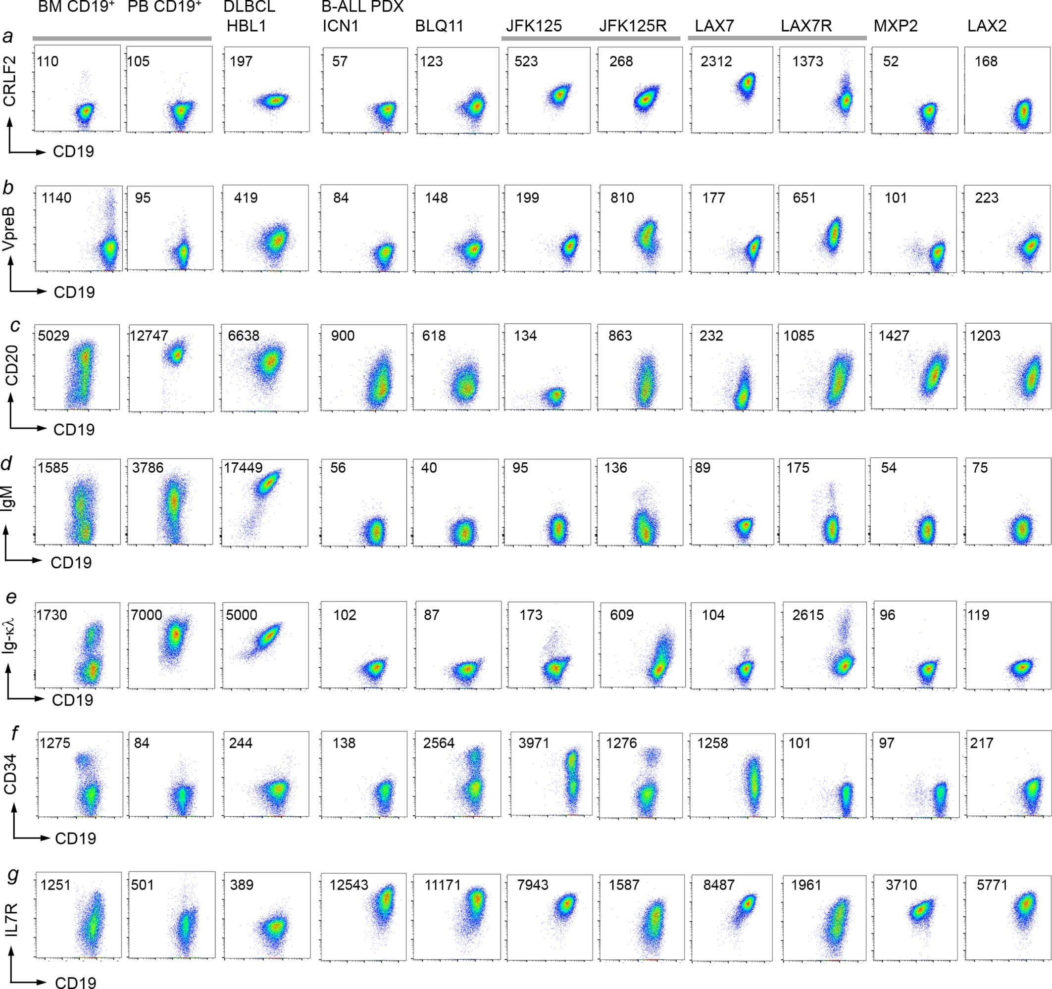 Extended Data Fig. 3: Phenotypic characterization of B-ALL cells driven by oncogenic STAT5 or ERK.