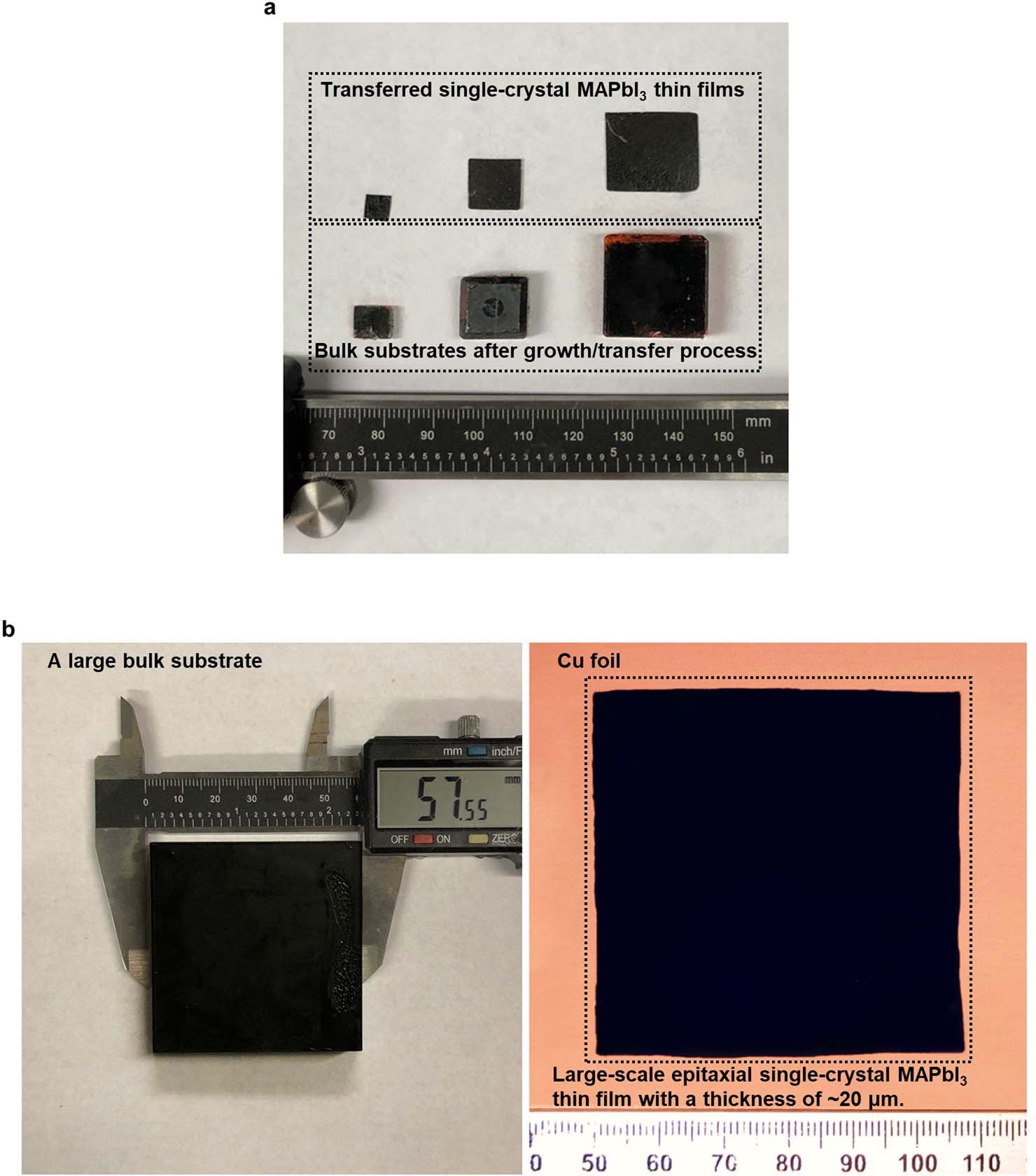 Extended Data Fig. 3: Scaling up the fabrication method.