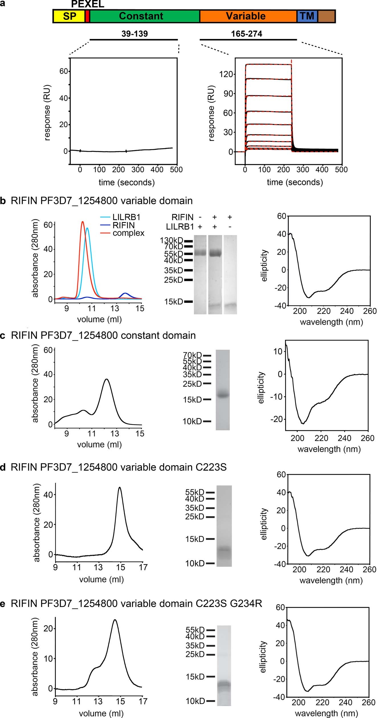 Extended Data Fig. 1: Biophysical characterization of the variable and constant regions of RIFIN, and the RIFIN–LILRB1 complex.