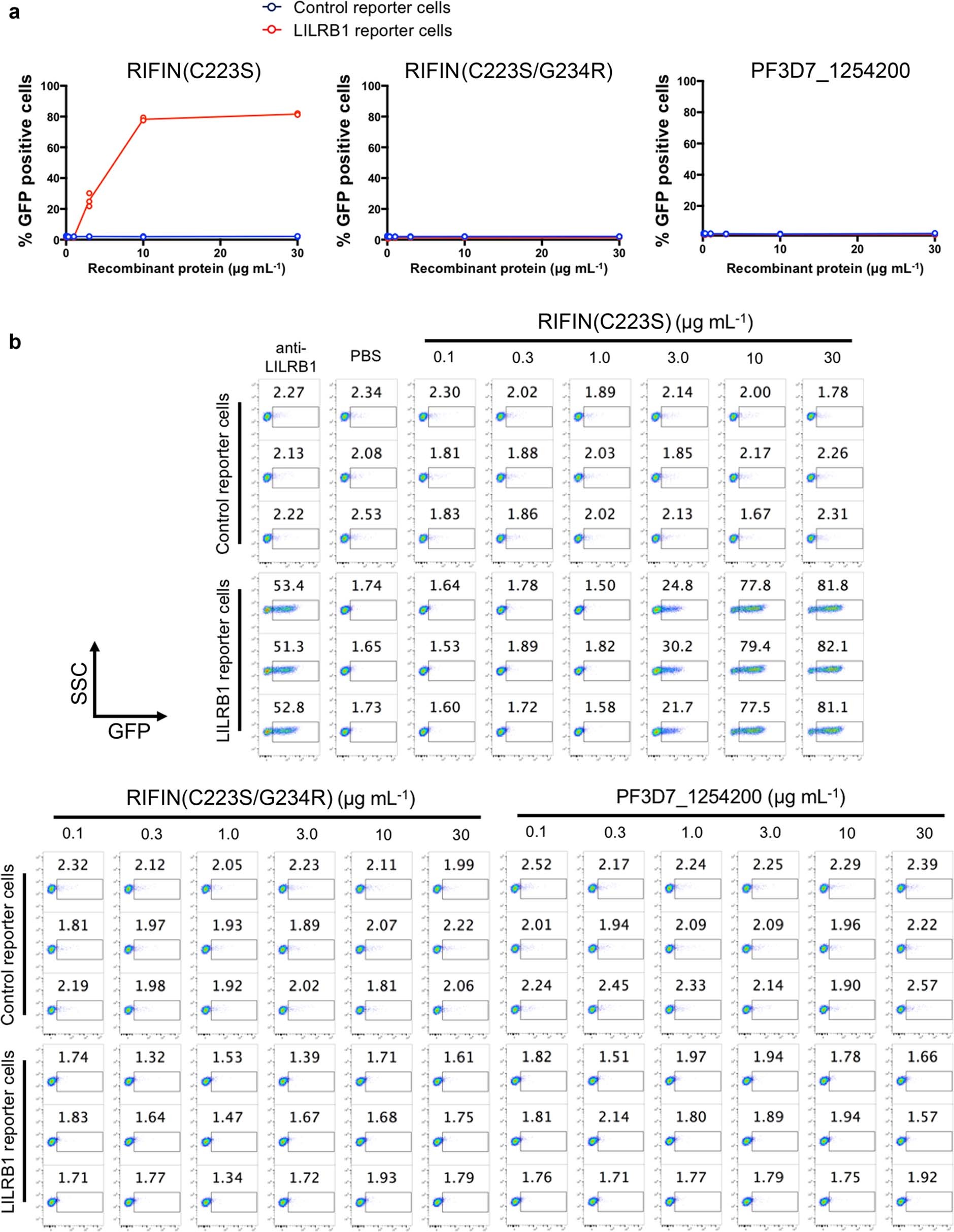 Extended Data Fig. 3: Analysis of the effect of RIFIN on signalling in a T-cell-based GFP-reporter system.