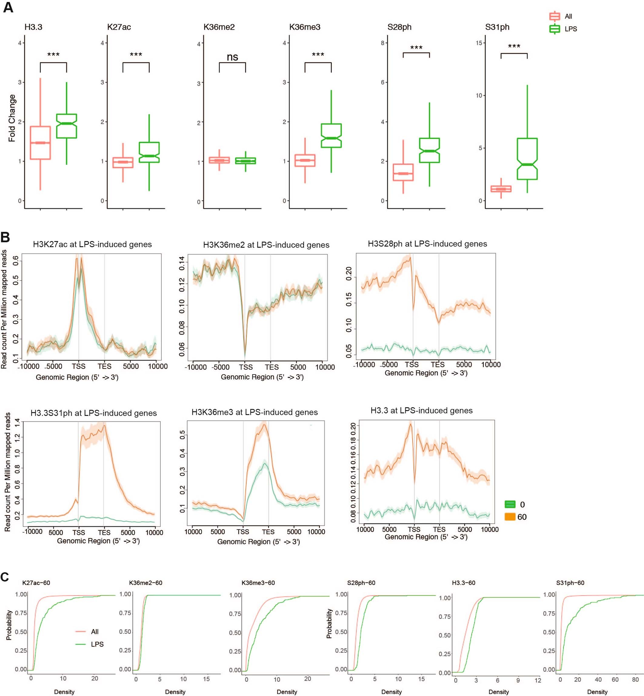 Extended Data Fig. 6: H3.3S31ph and other H3 PTMs at response genes and after stimulation.