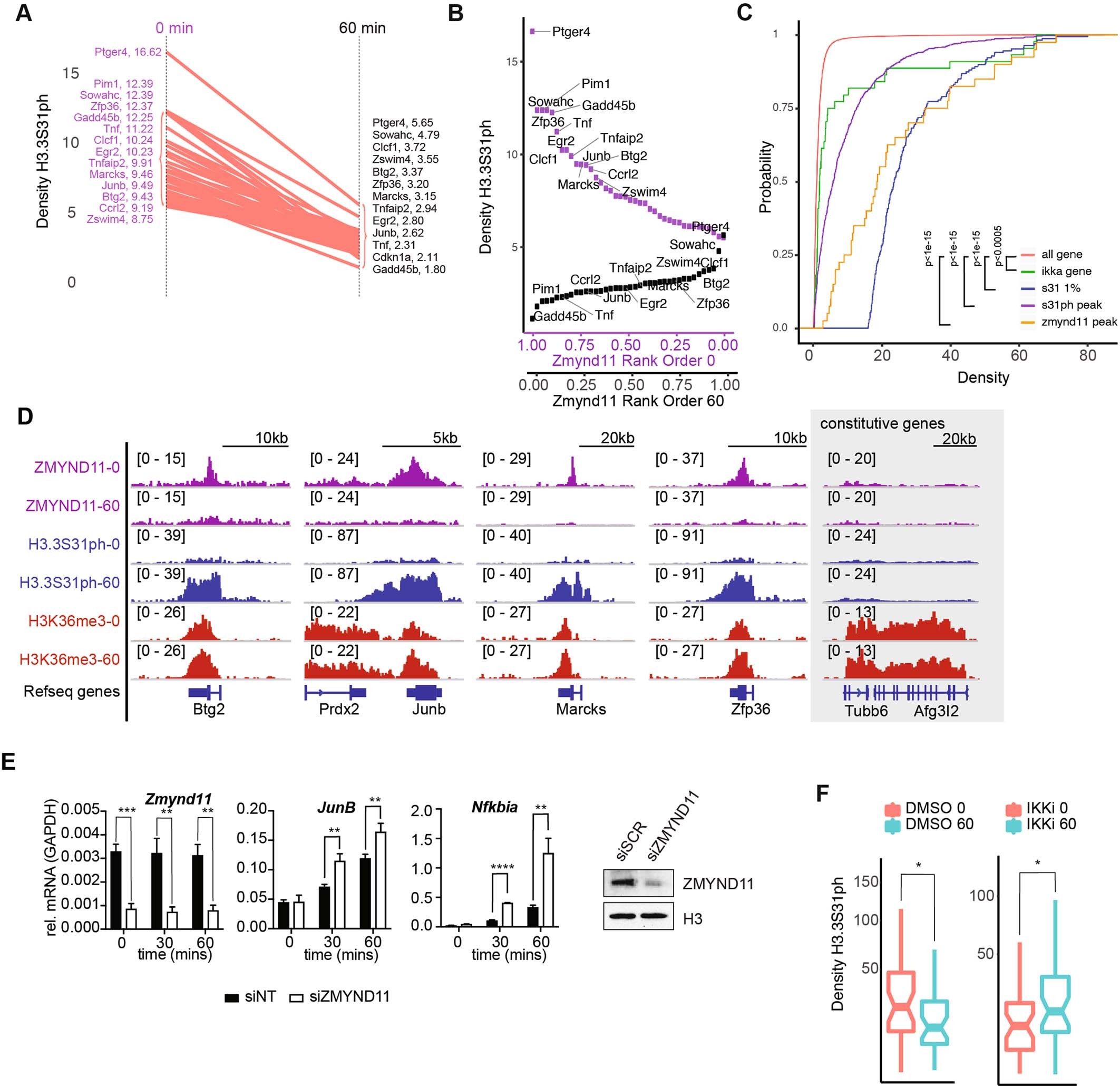 Extended Data Fig. 9: ZMYND11 regulation of LPS-induced genes.