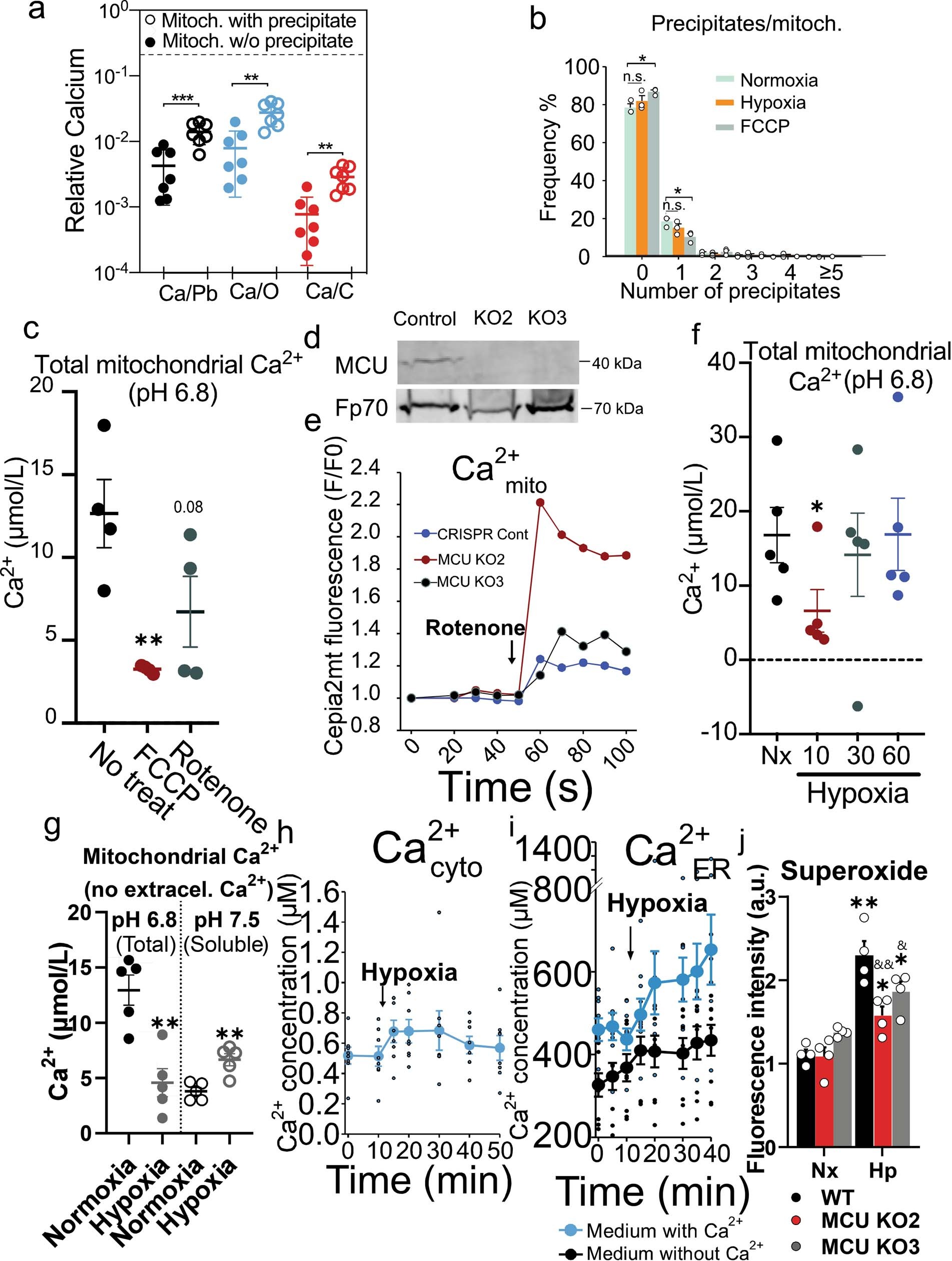 Extended Data Fig. 6: Mitochondrial matrix acidification promotes mitochondrial Na+/Ca2+ exchange via the NCLX.