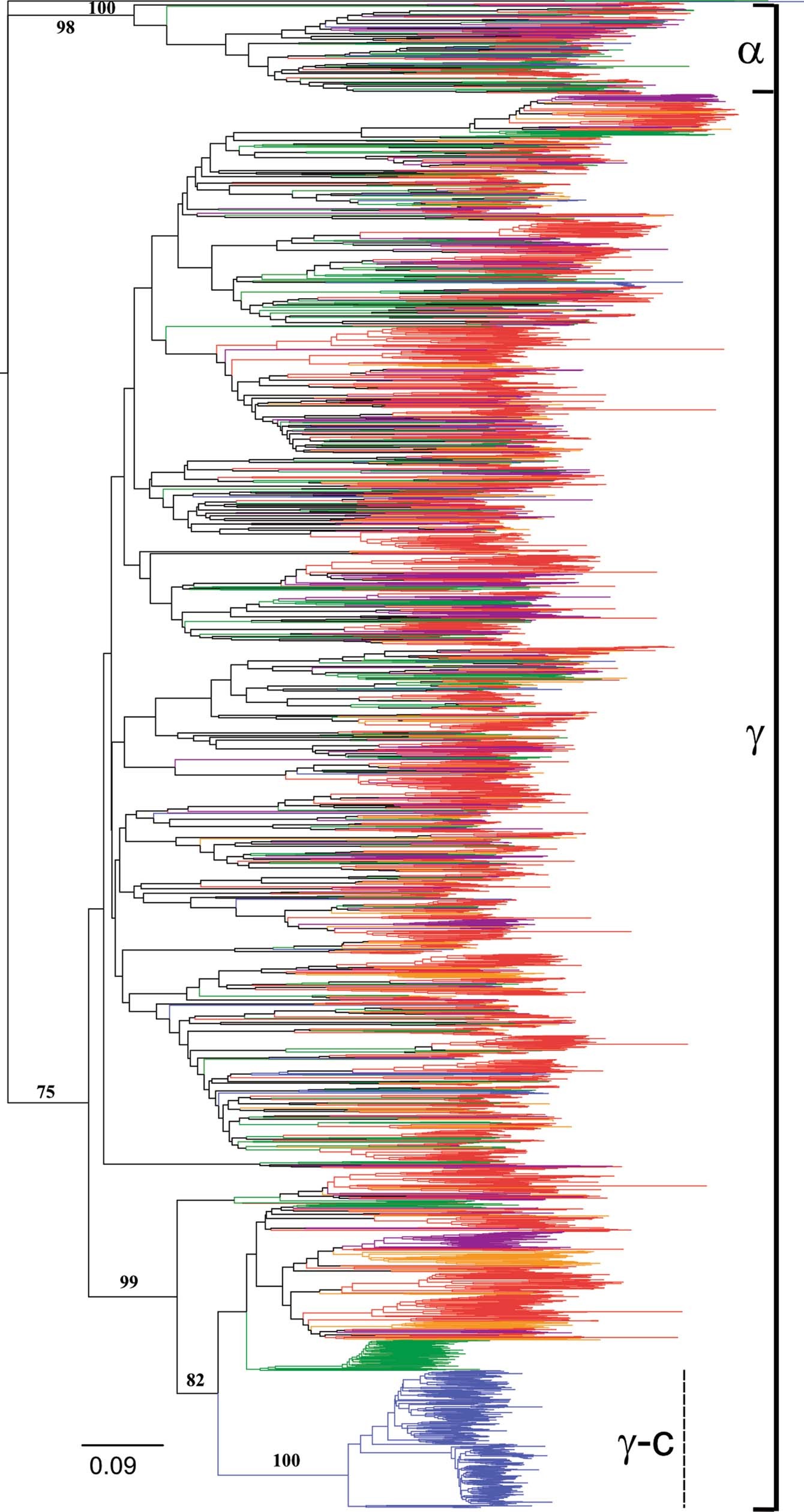 Extended Data Fig. 7: The evolutionary history of odorant receptors in terrestrial sauropsids.
