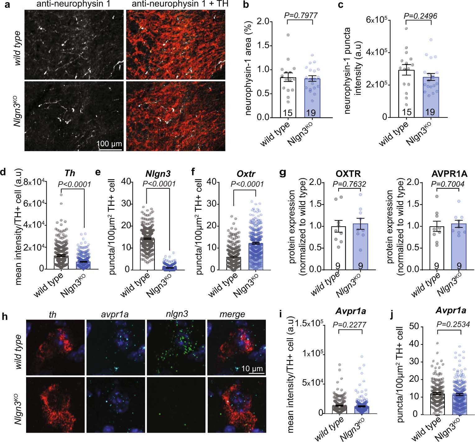 Extended Data Fig. 3