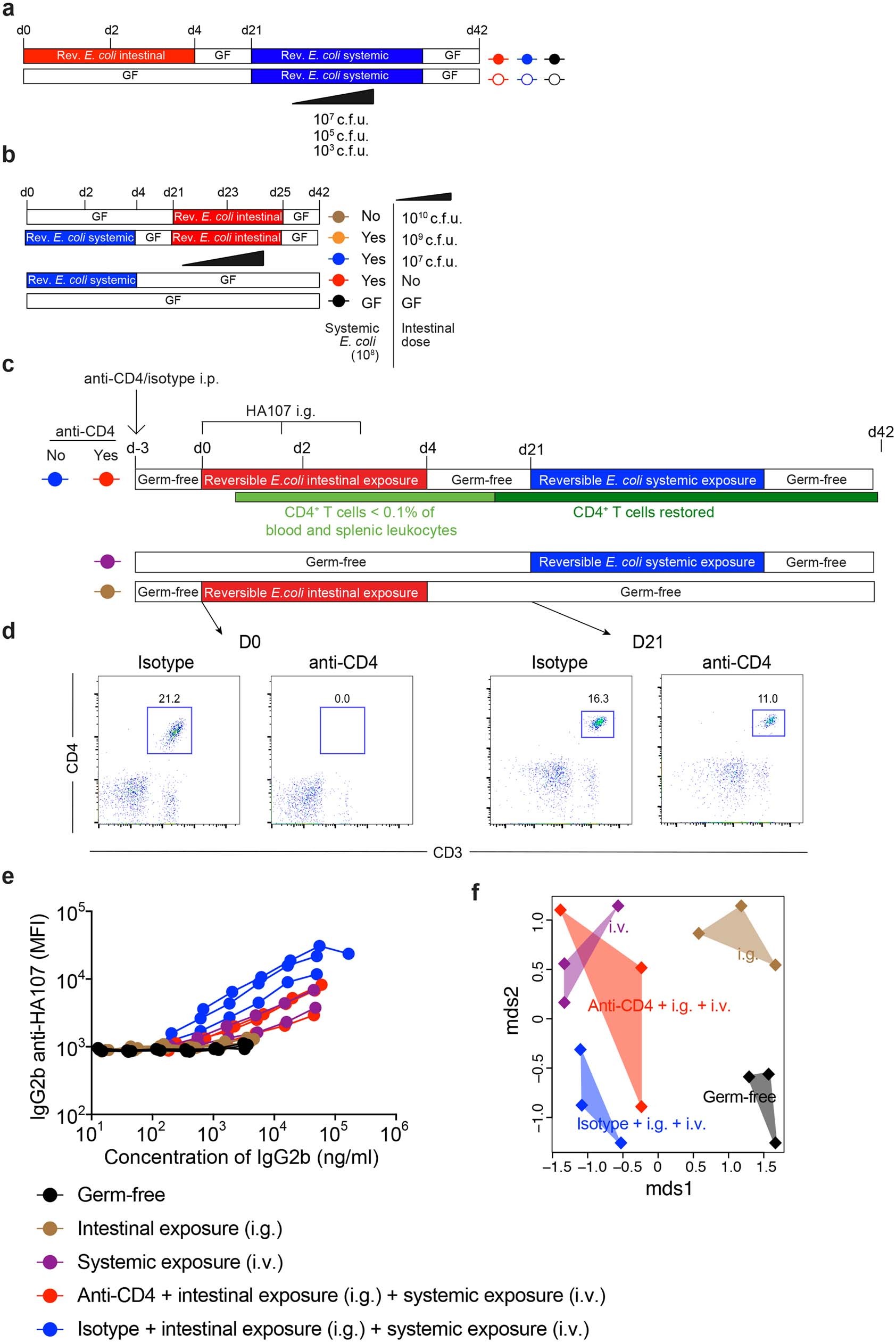 Extended Data Fig. 7: CD4 T cells are required for systemic immune memory following intestinal exposure to reversible E. coli HA107.
