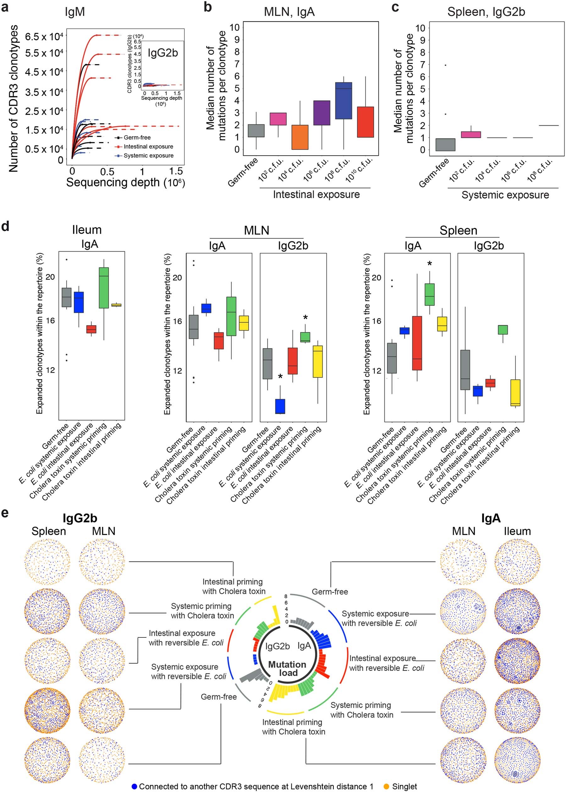 Extended Data Fig. 5: Network formation of different isotypes depending on transitory microbial treatment, and comparison with strong cholera toxin immunogen.