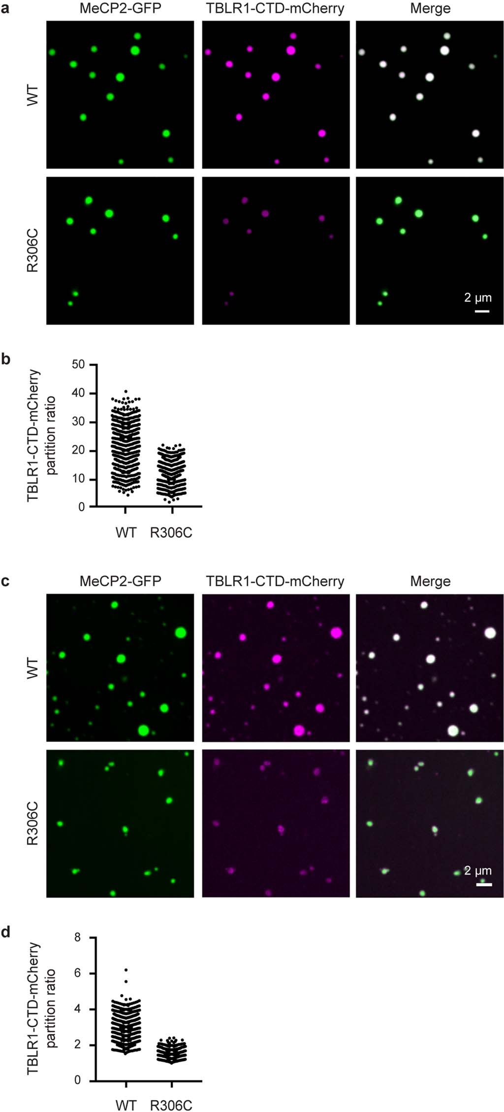 Extended Data Fig. 7