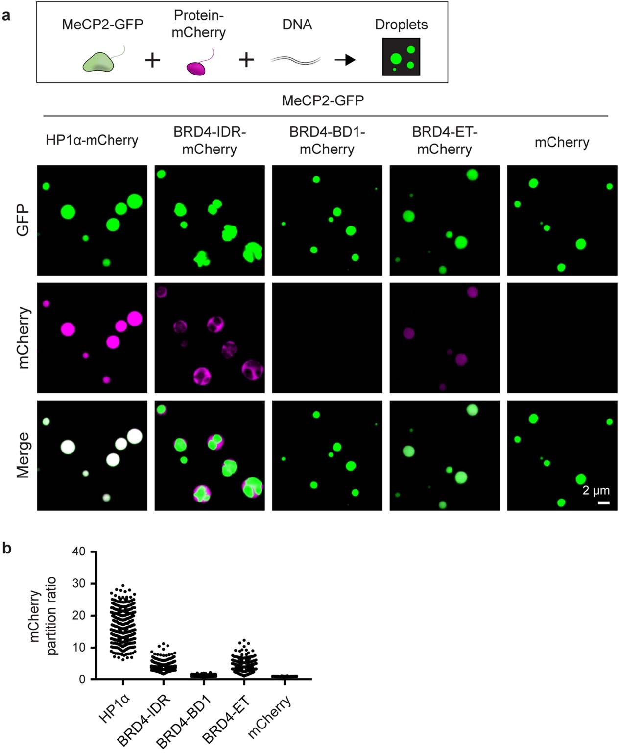 Extended Data Fig. 5