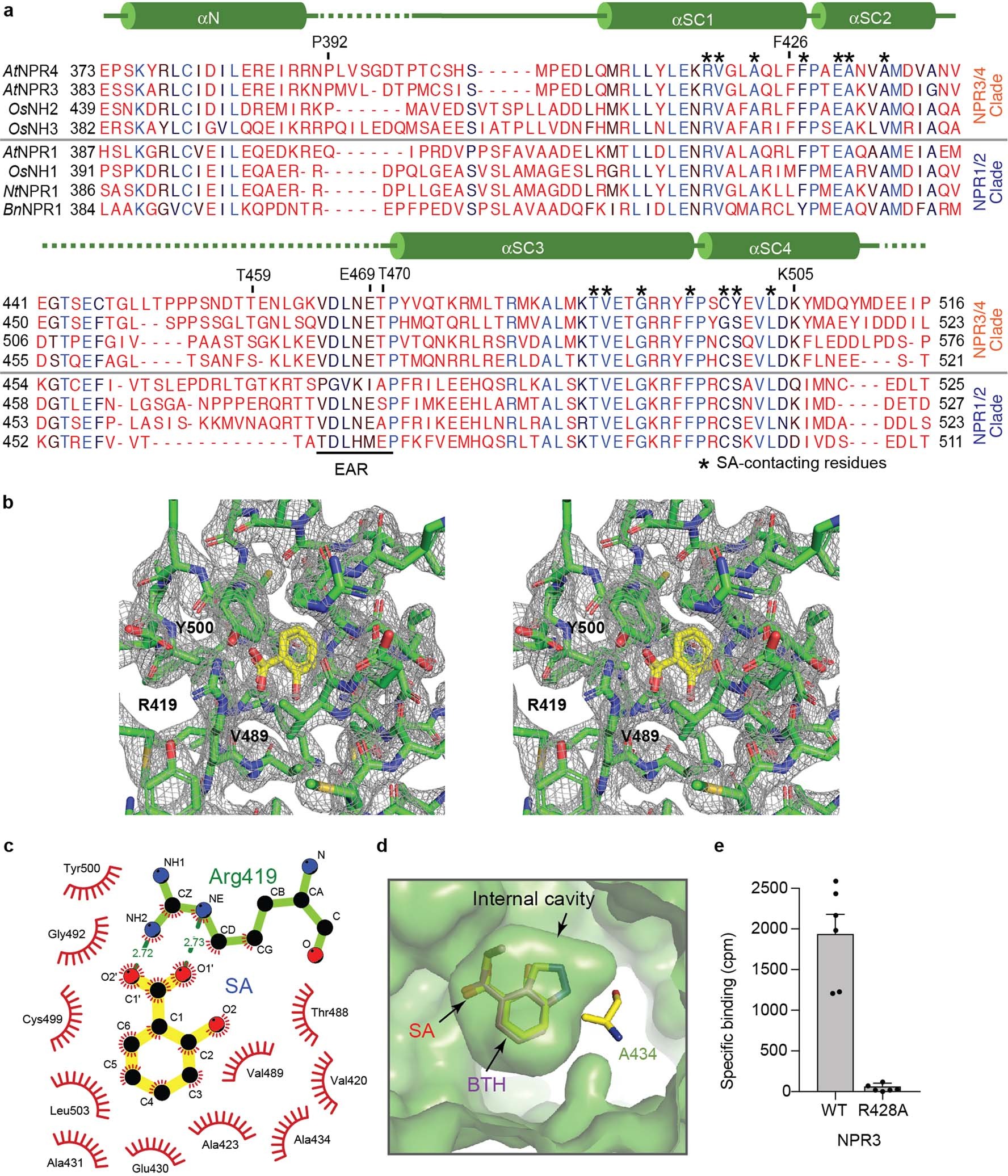 Extended Data Fig. 3: Sequence alignment of the SBC regions in NPR proteins from several plant species, and details of the SA-binding pocket and activity.