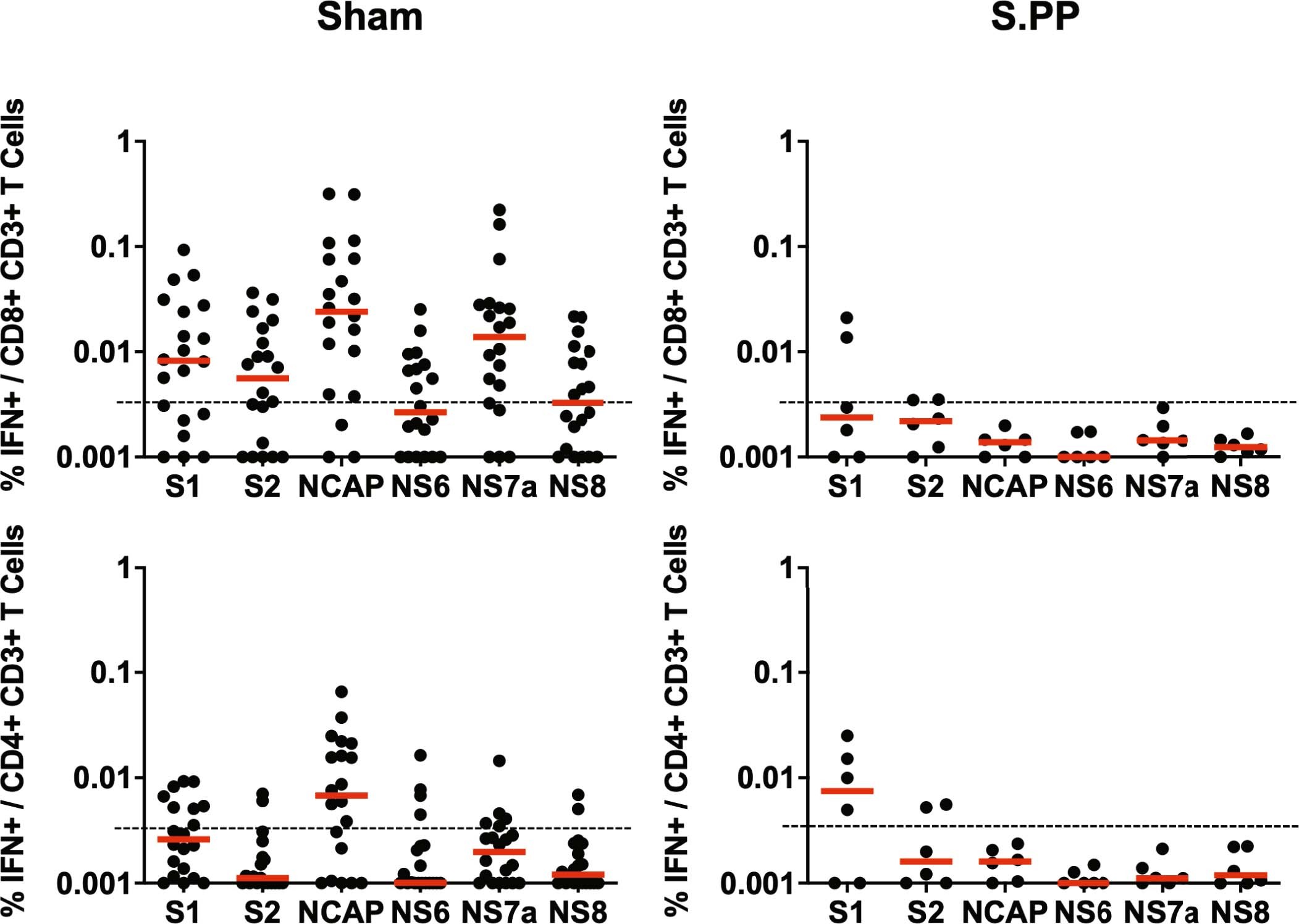Extended Data Fig. 9: Cellular immune responses after SARS-CoV-2 challenge.
