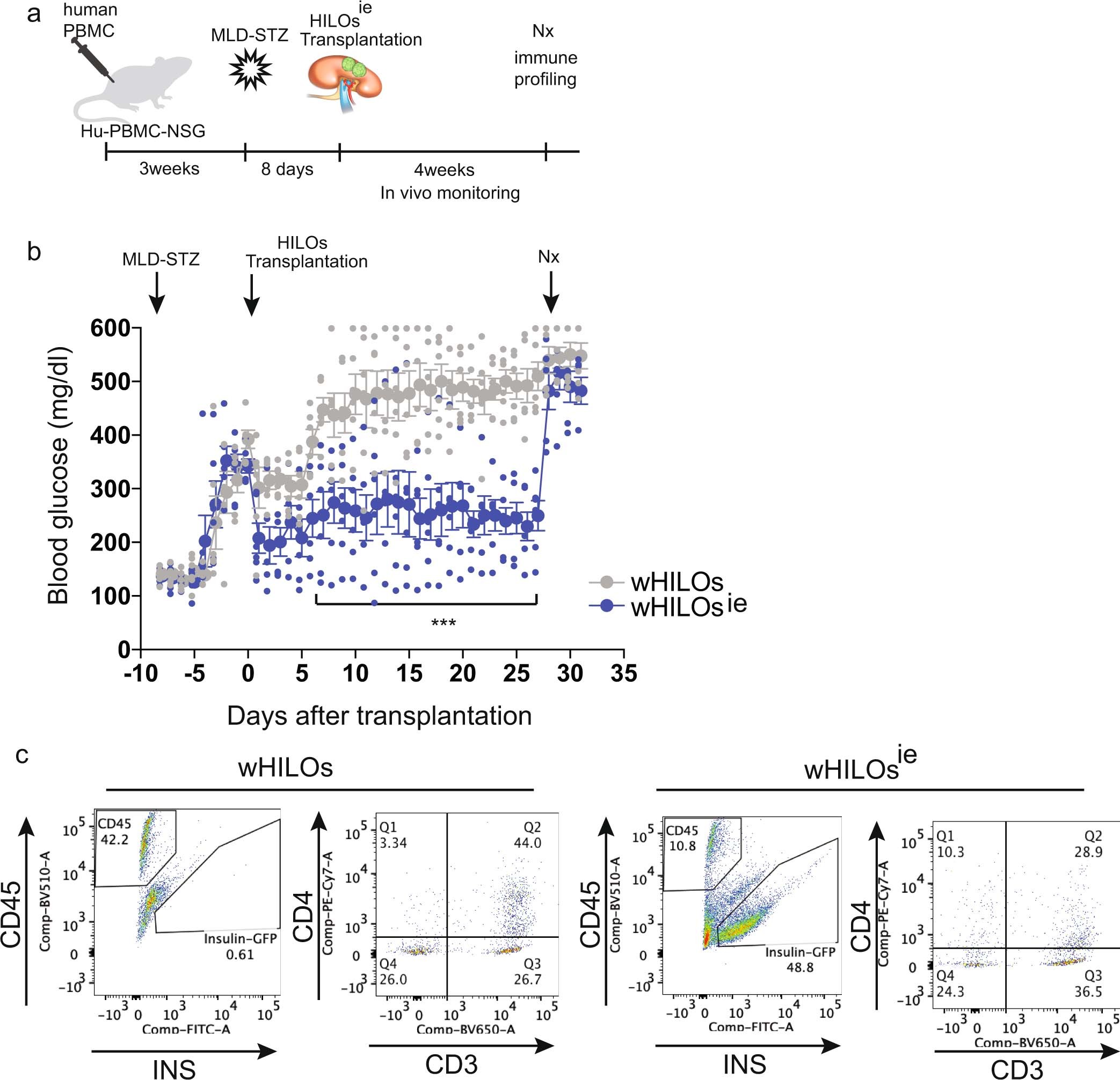 Extended Data Fig. 12: Immune evasive wHILOs by enhanced endogenous PD-L1 expression.