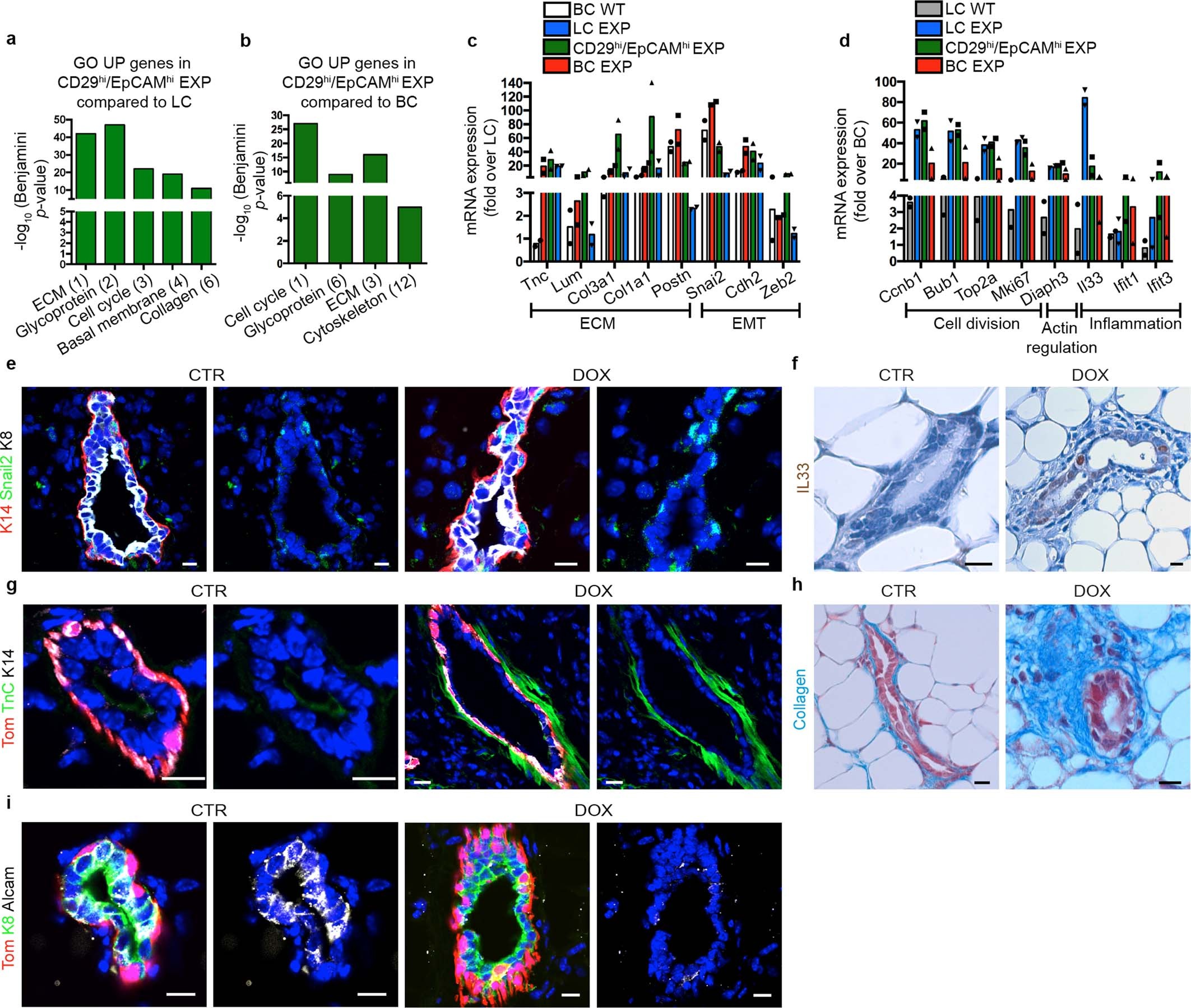 Extended Data Fig. 5