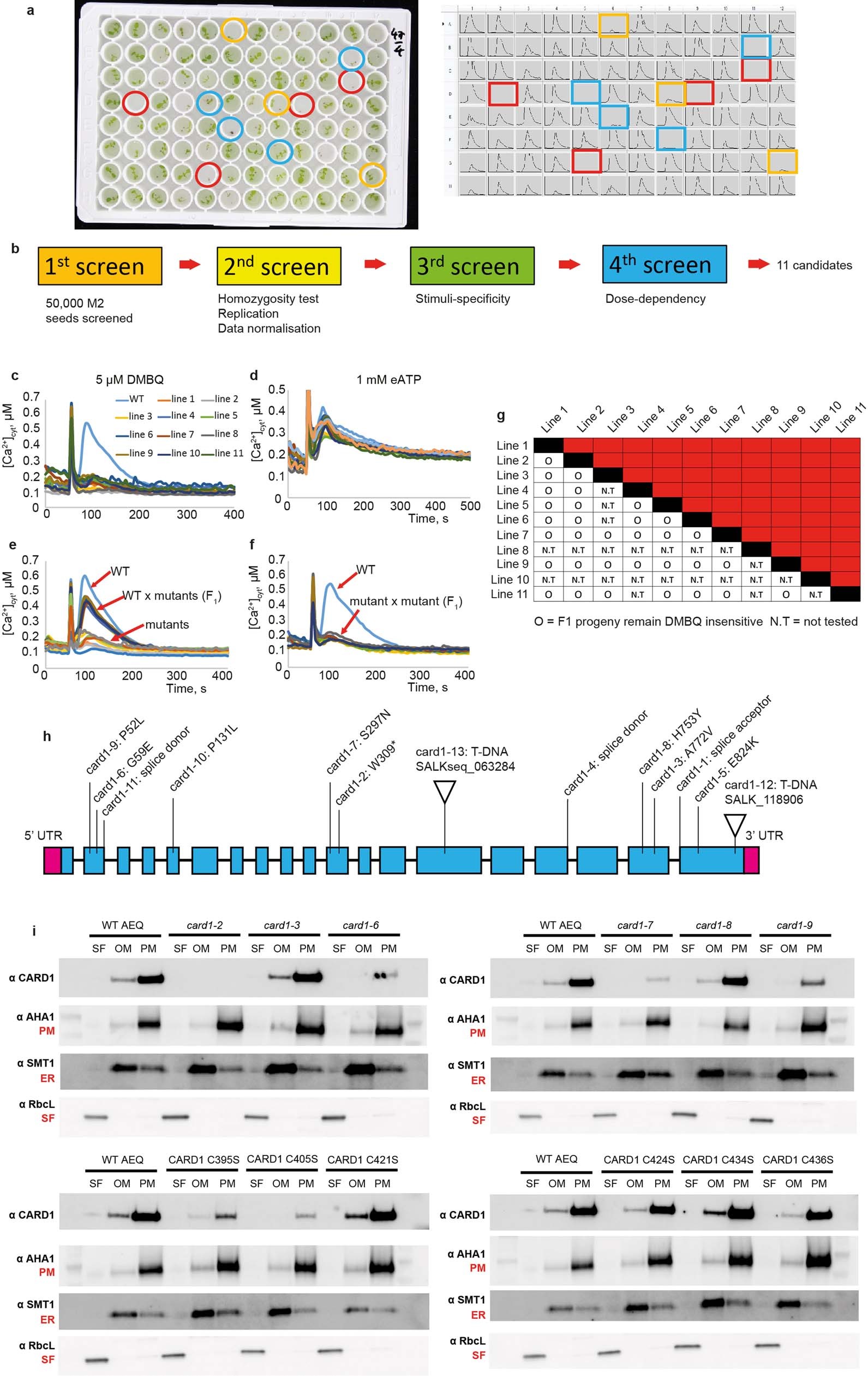 Extended Data Fig. 2