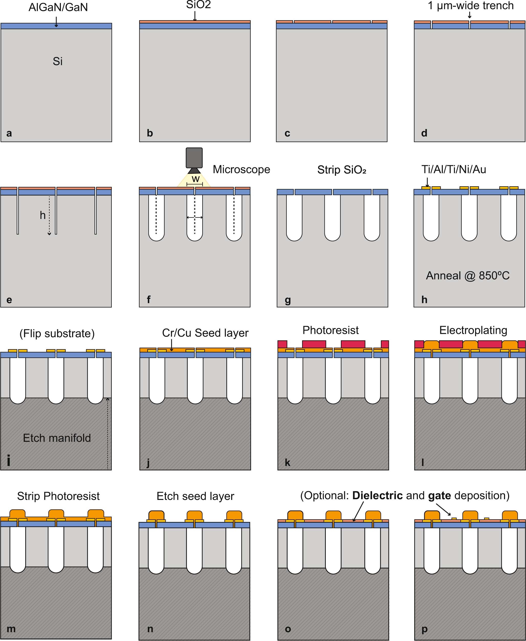 Extended Data Fig. 1