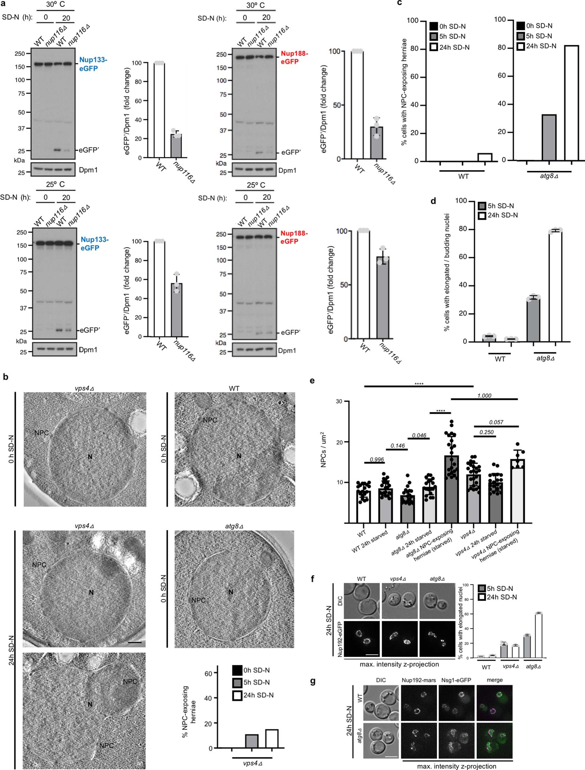 Extended Data Fig. 7
