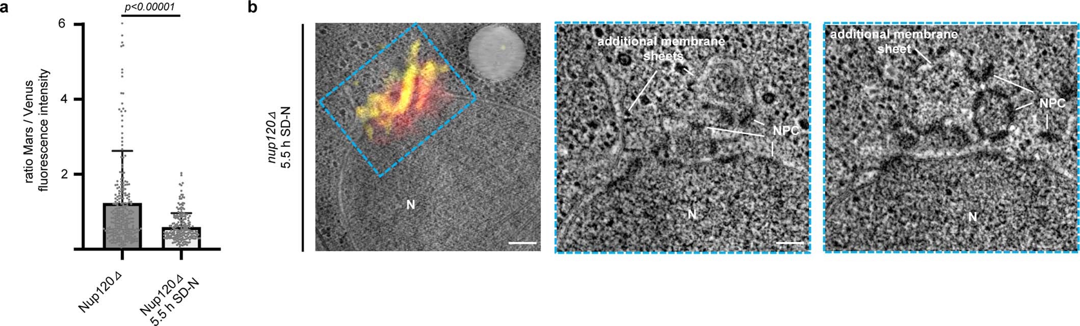 Extended Data Fig. 8