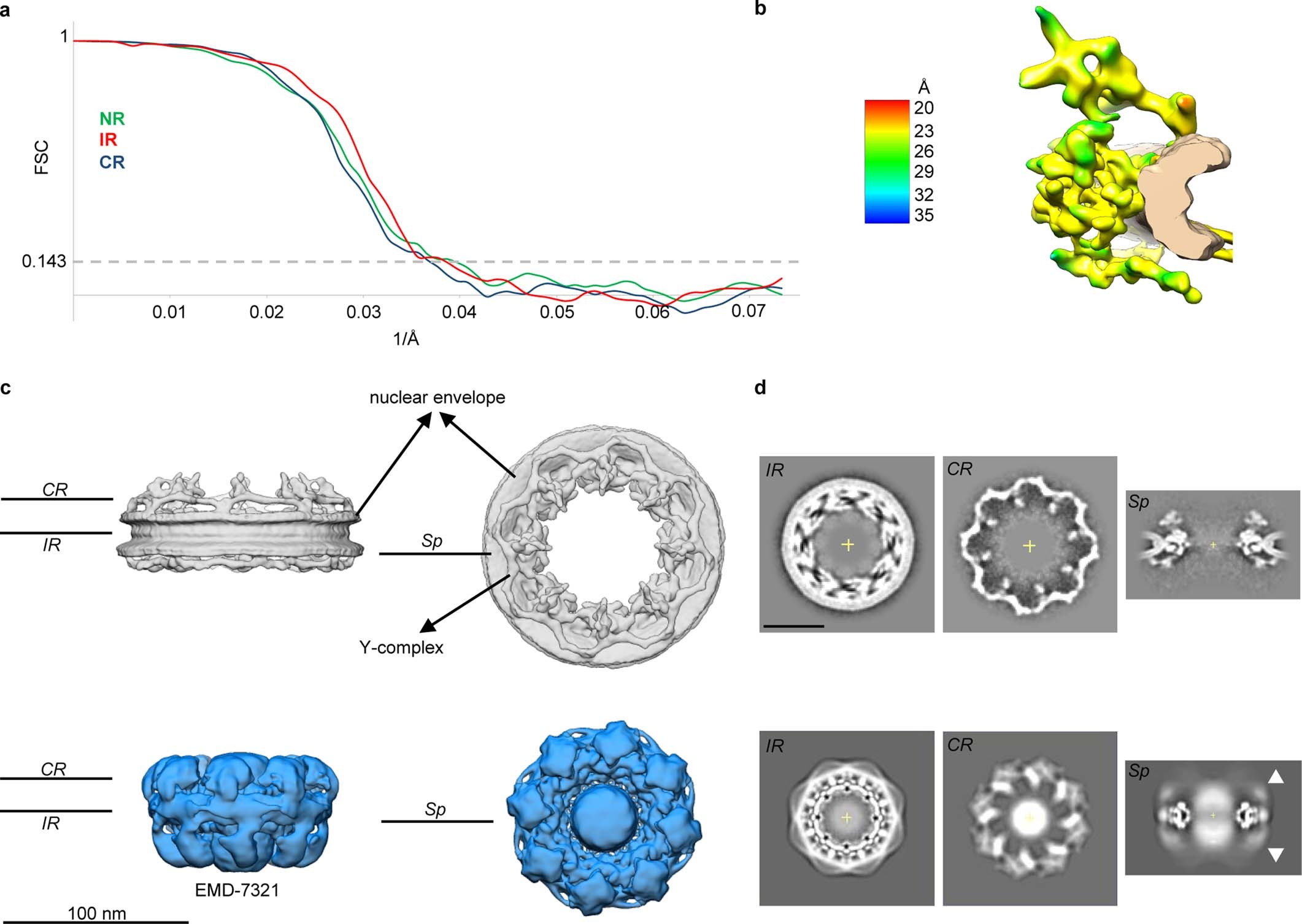 Extended Data Fig. 1