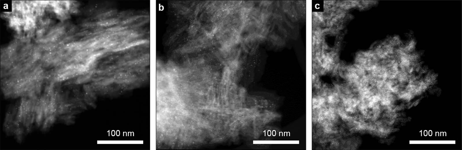 Extended Data Fig. 10