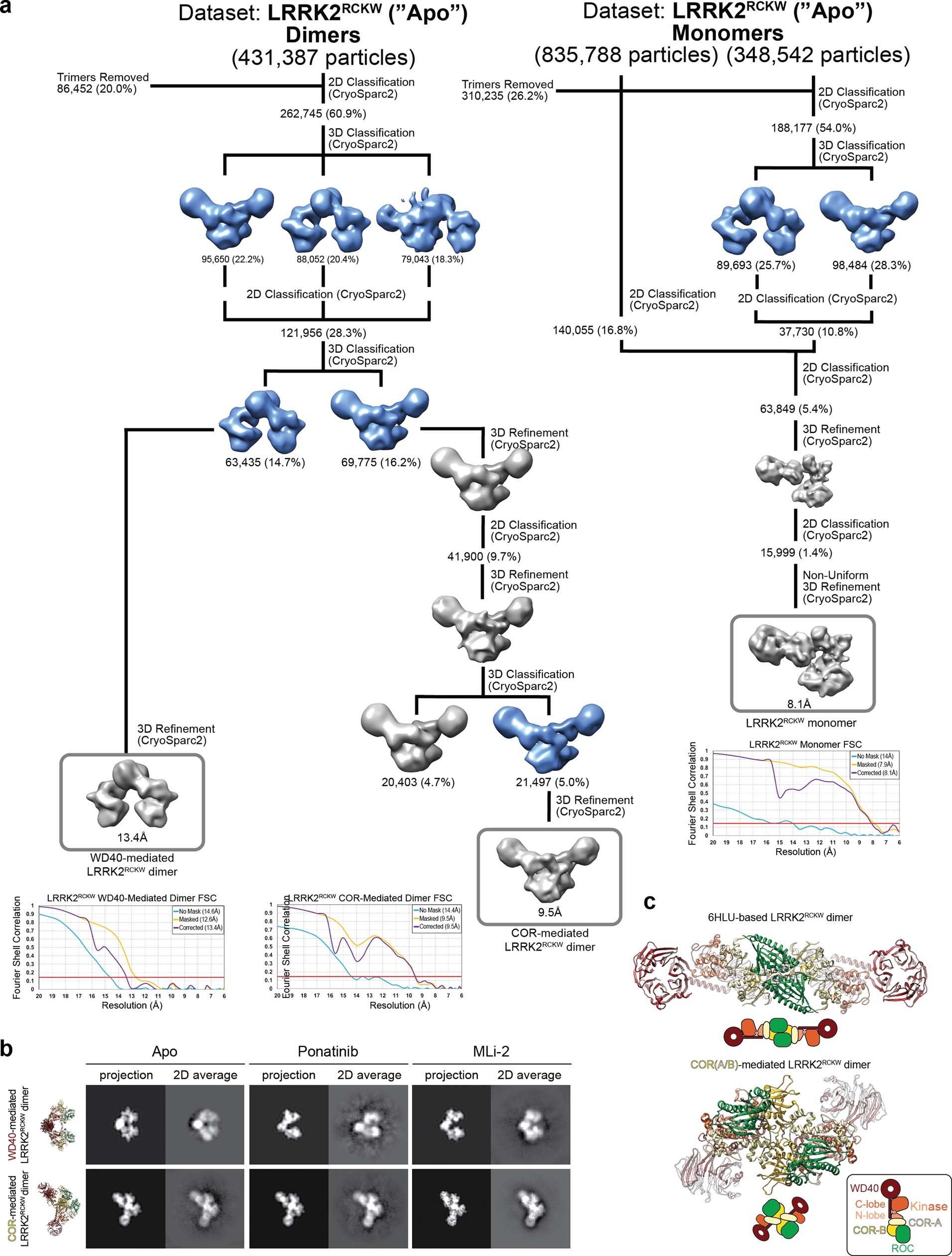 Extended Data Fig. 6