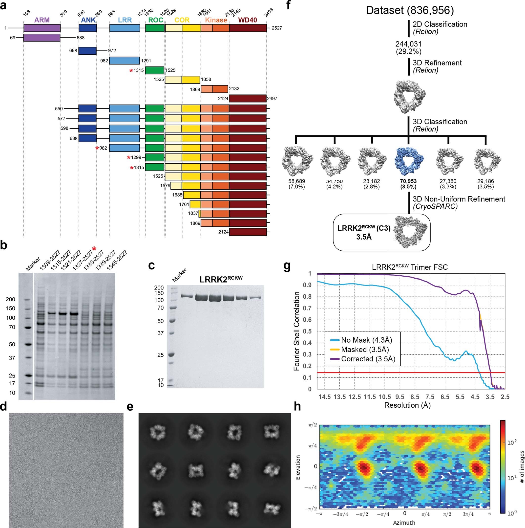 Extended Data Fig. 1
