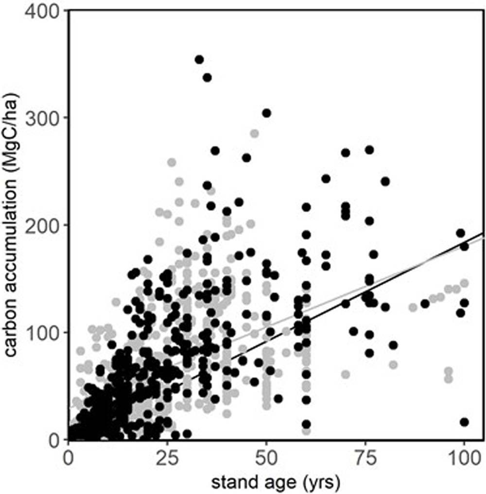 Extended Data Fig. 4: Effect of disturbance intensity on carbon accumulation.