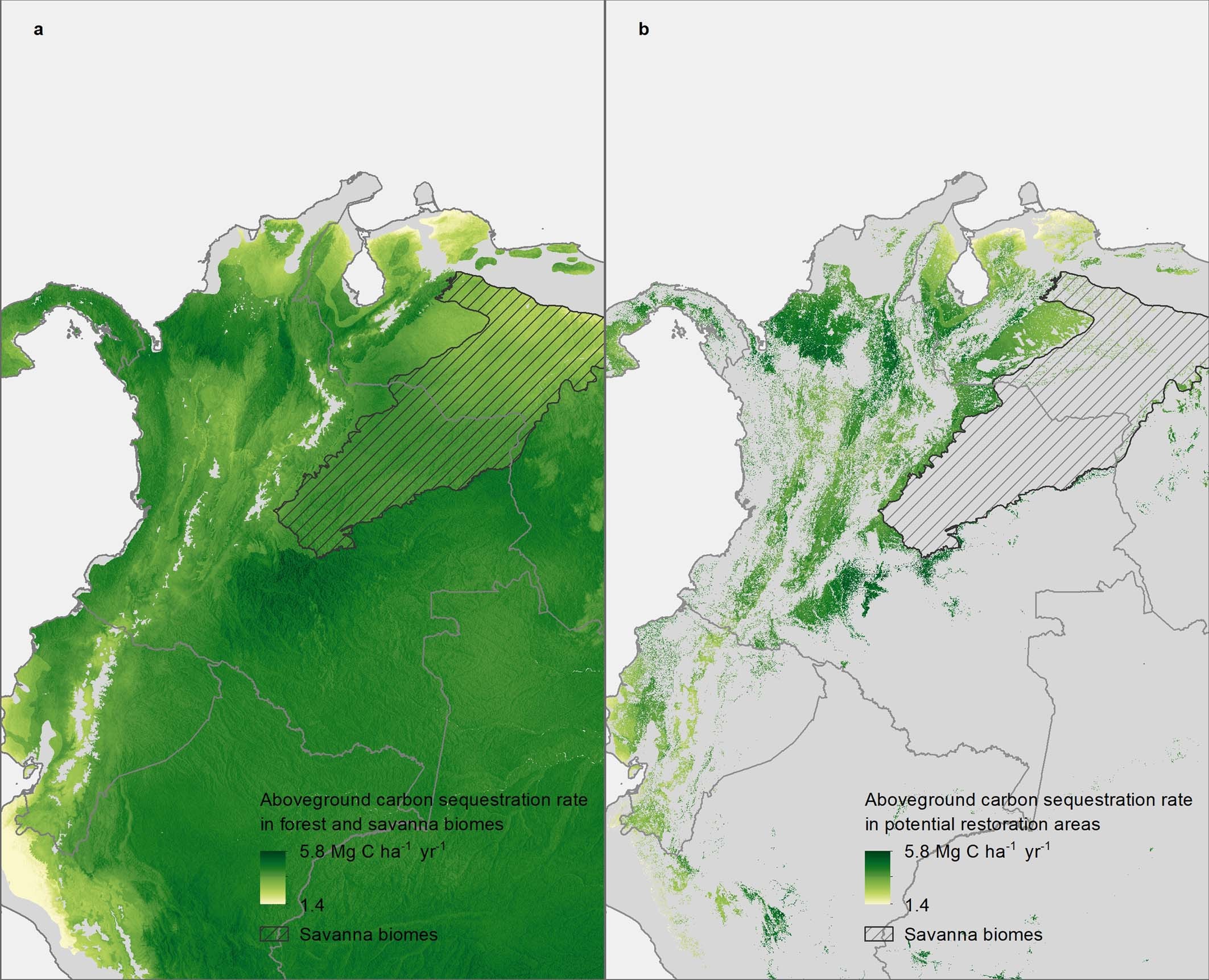 Extended Data Fig. 6: Fine-scale variation in rates.