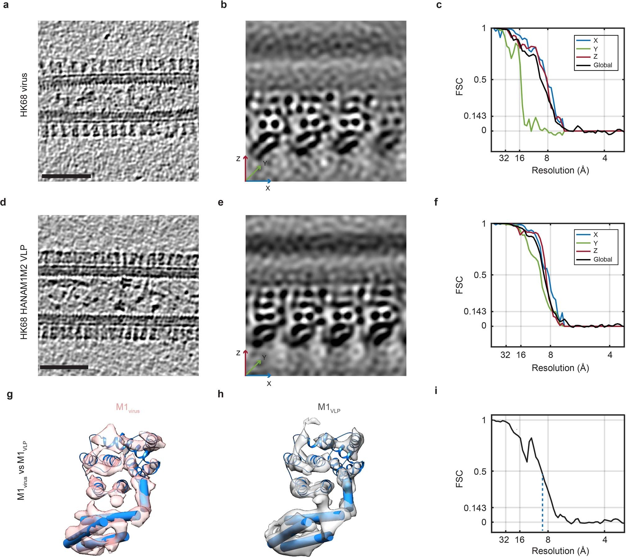 Extended Data Fig. 2: Comparison of HK68 virus and VLP M1 structures, and resolution measurements.