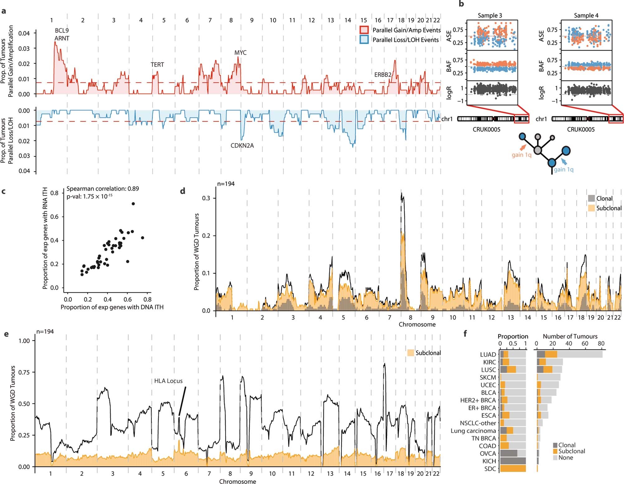 Extended Data Fig. 9: Recurrent parallel evolution and LOH across the genome.