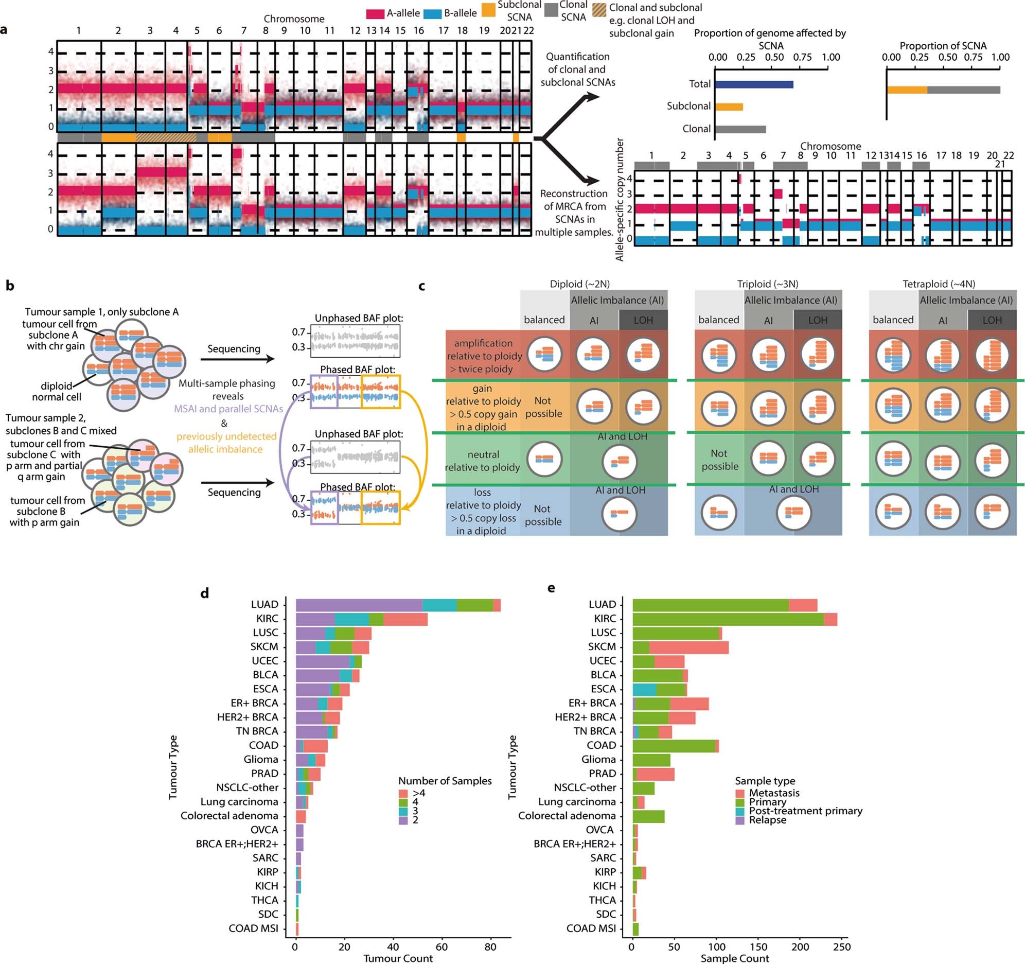 Extended Data Fig. 1: Measuring CIN across tumour types.